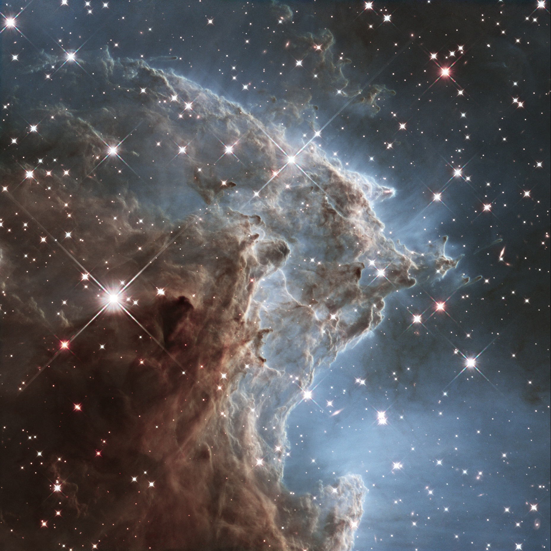 A view of the Monkey Head Nebula, released on March 17, 2014. Otherwise known as NGC 2174, the nebula is a cloud of gas and dust that lies about 6400 light-years away in the constellation of Orion. Nebulas like this one are popular targets for Hubble, th