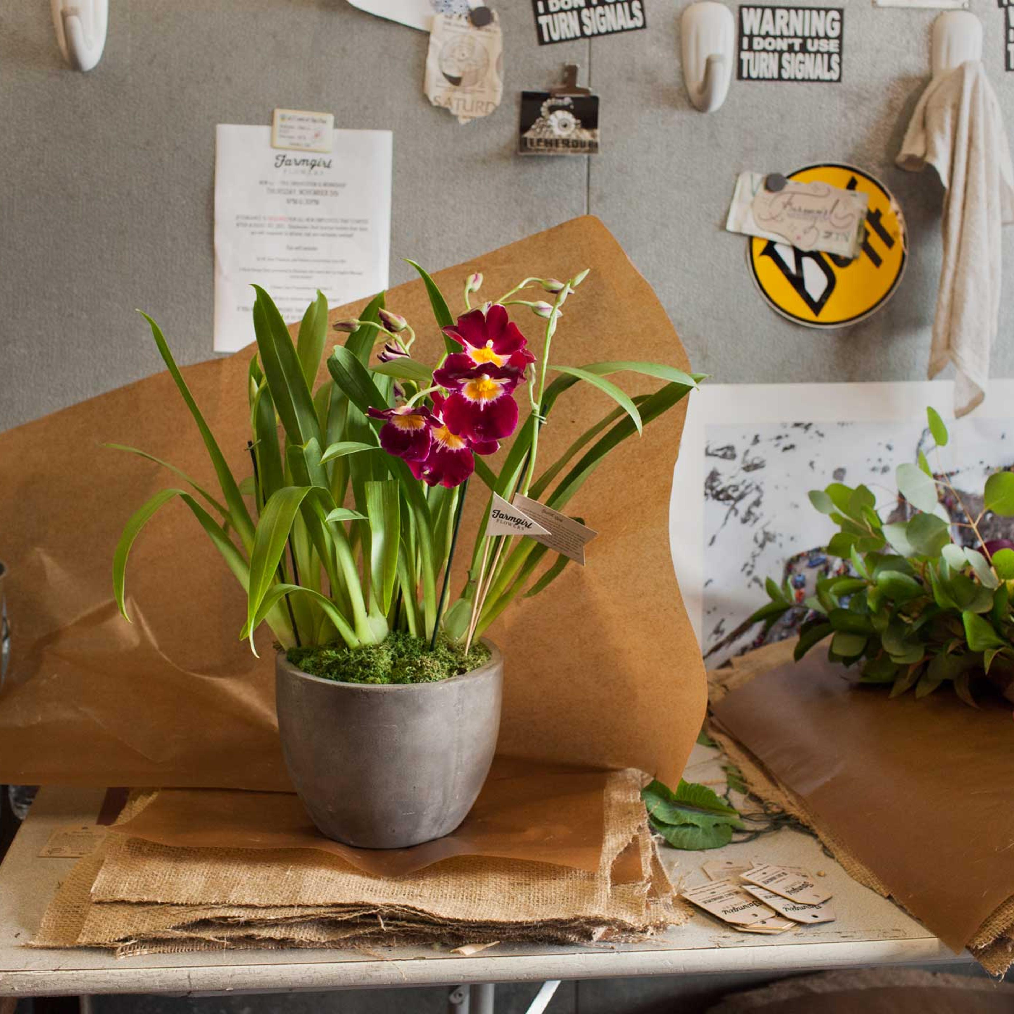 A flower arrangement before being wrapped and delivered.
