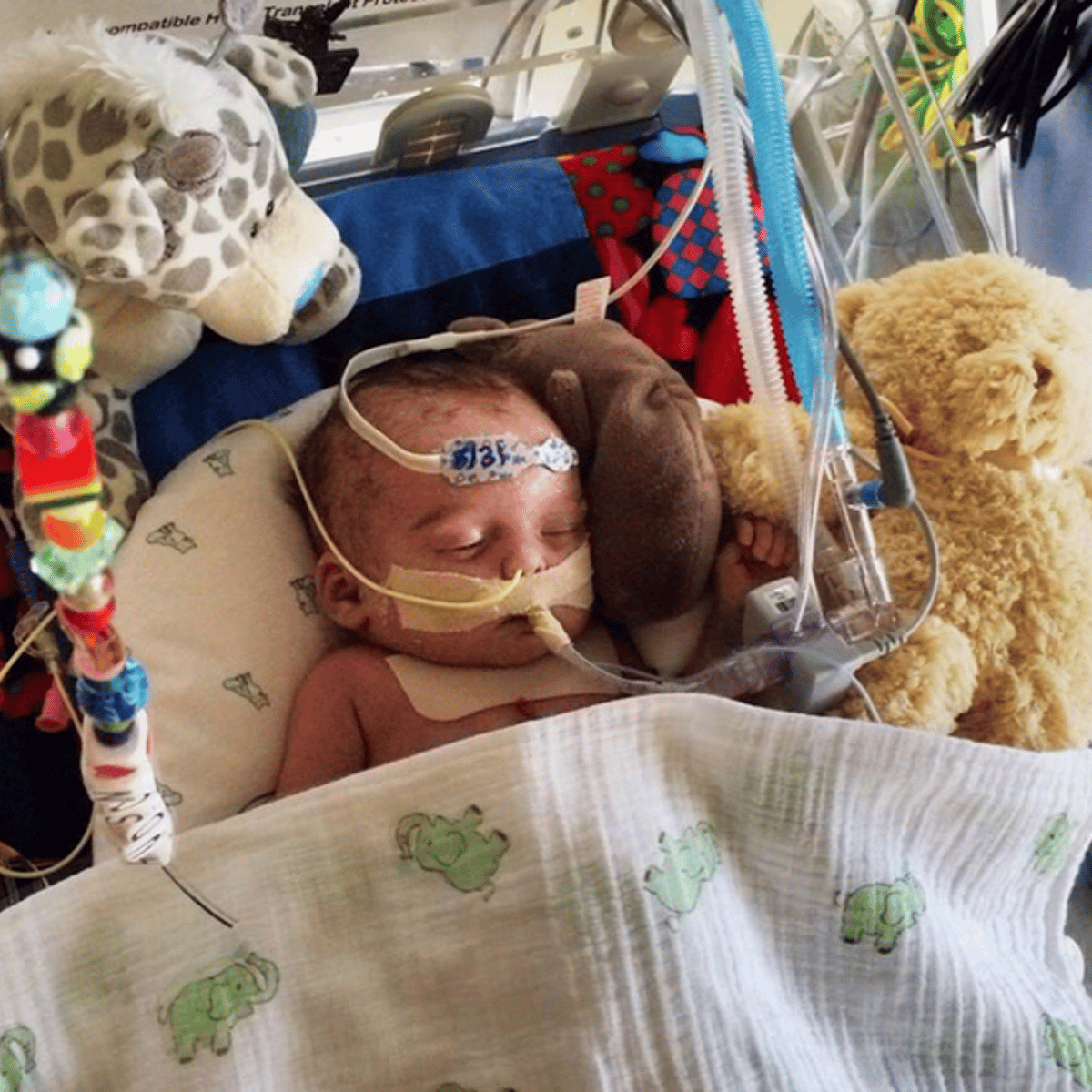 Facebook apologized for rejecting an ad featuring this photo of 2-month-old Hudson Azera Bond