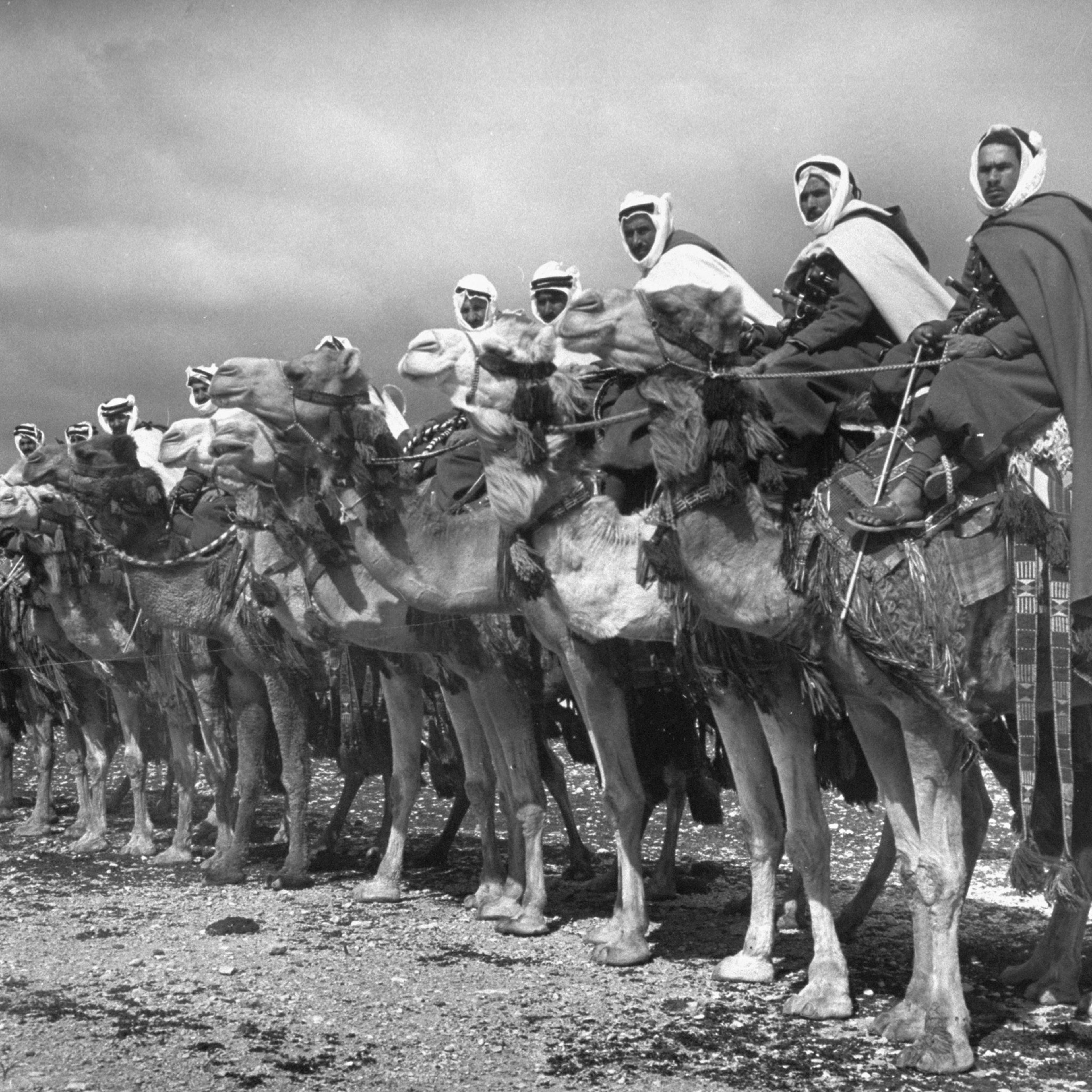 Members of the Bedouin "camel cavalry" near Damascus, Syria, 1940.