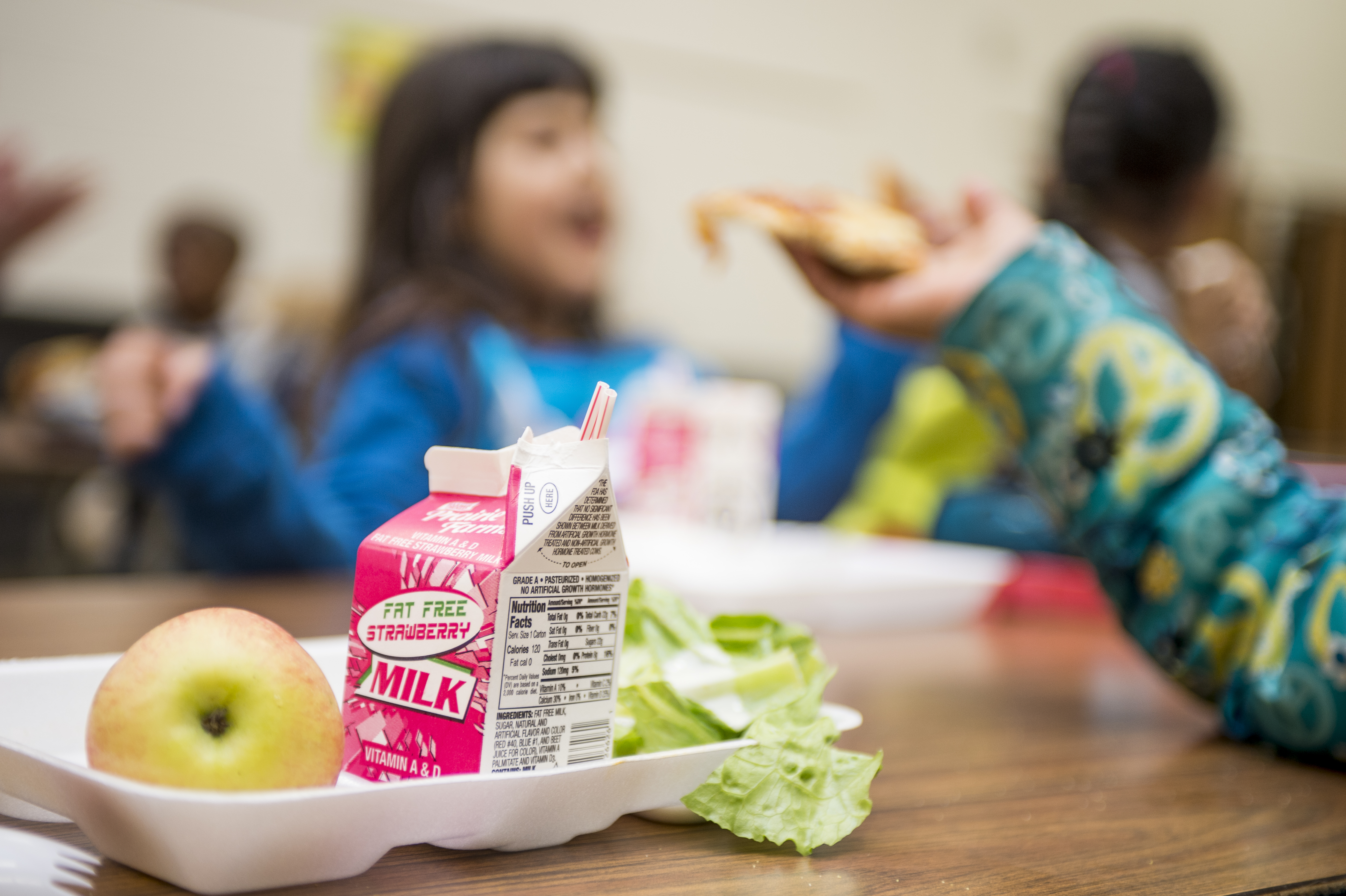 Kalamazoo Promise Public Schools