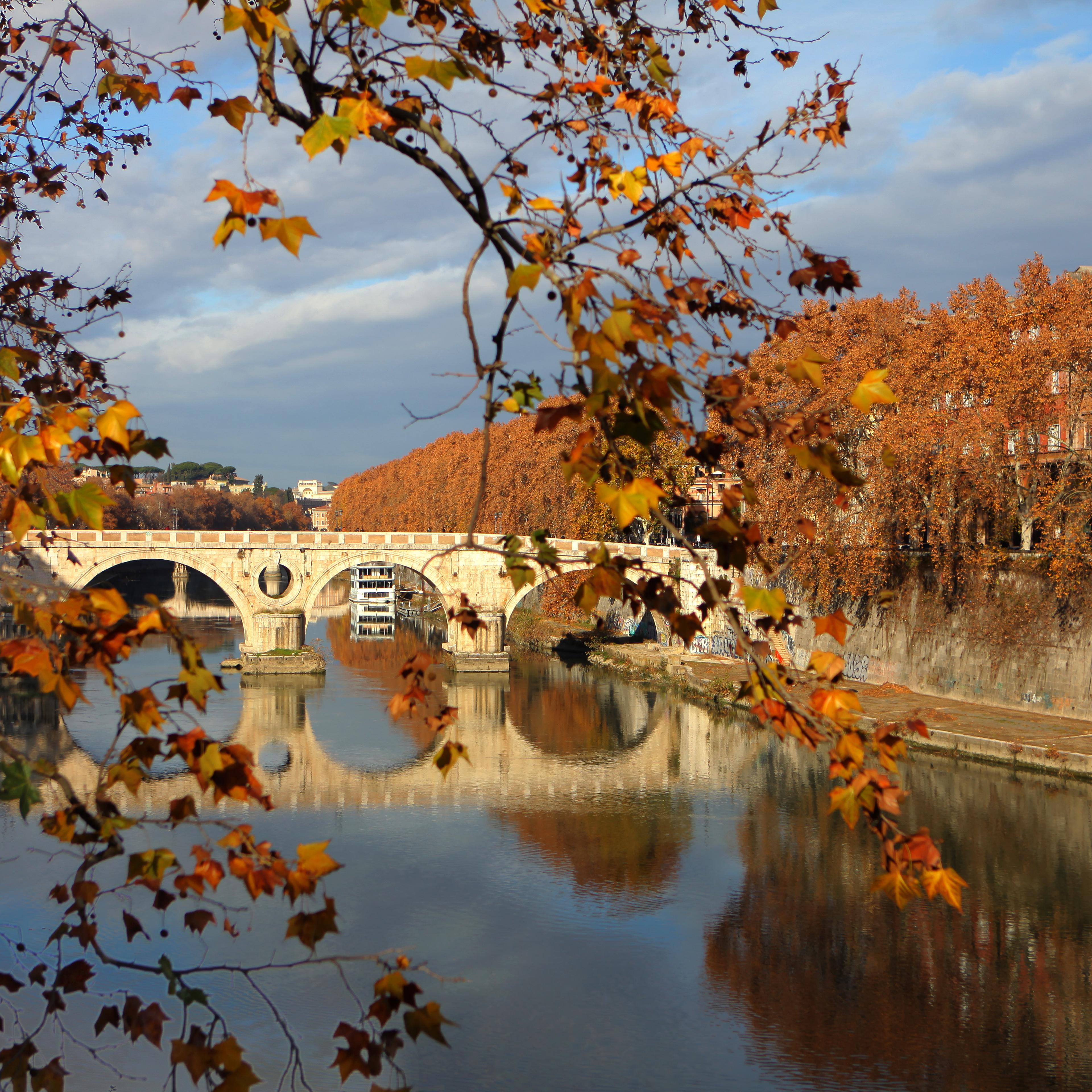 The Eternal City Prepares For Christmas