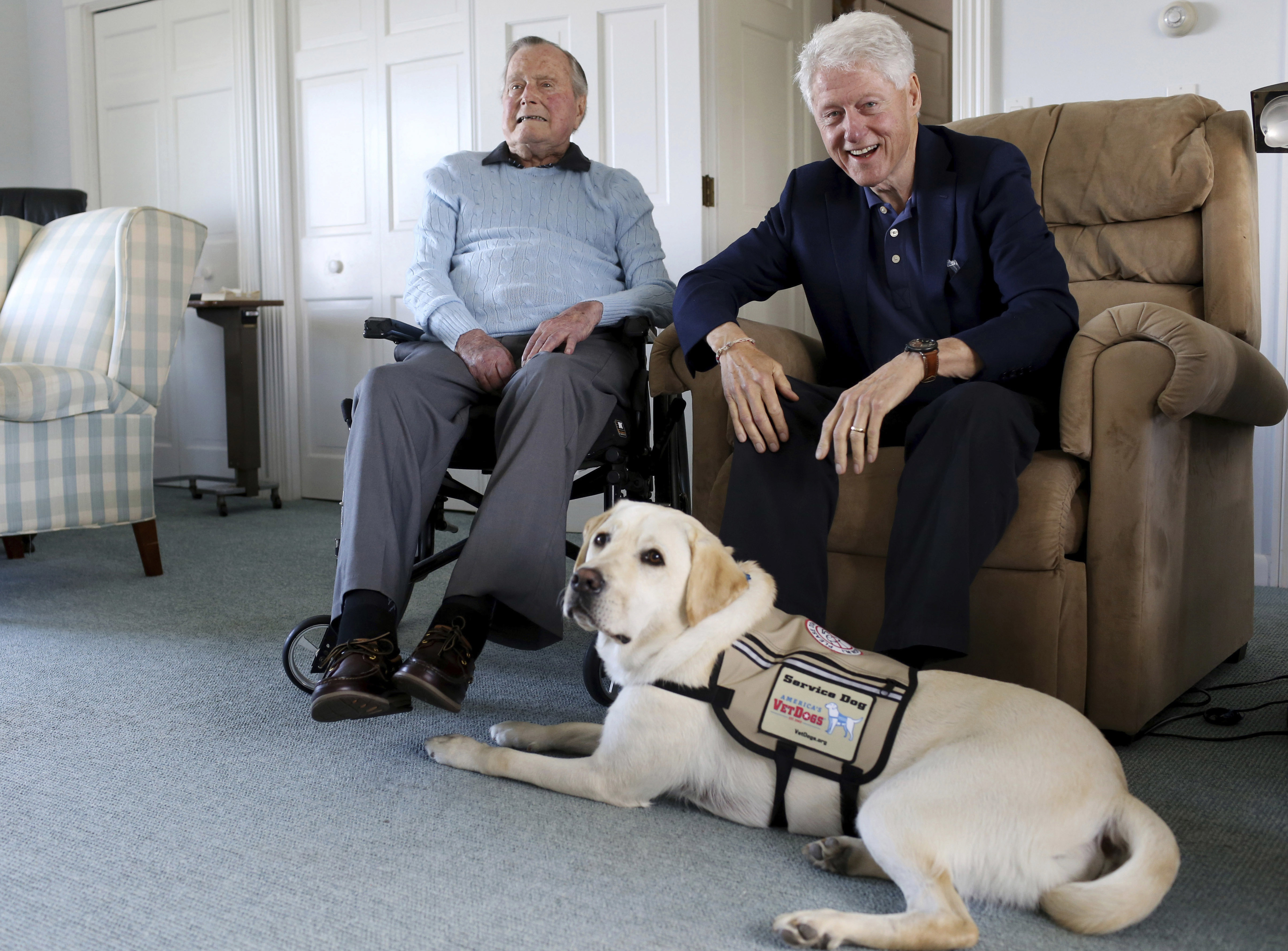 Bush Service Dog