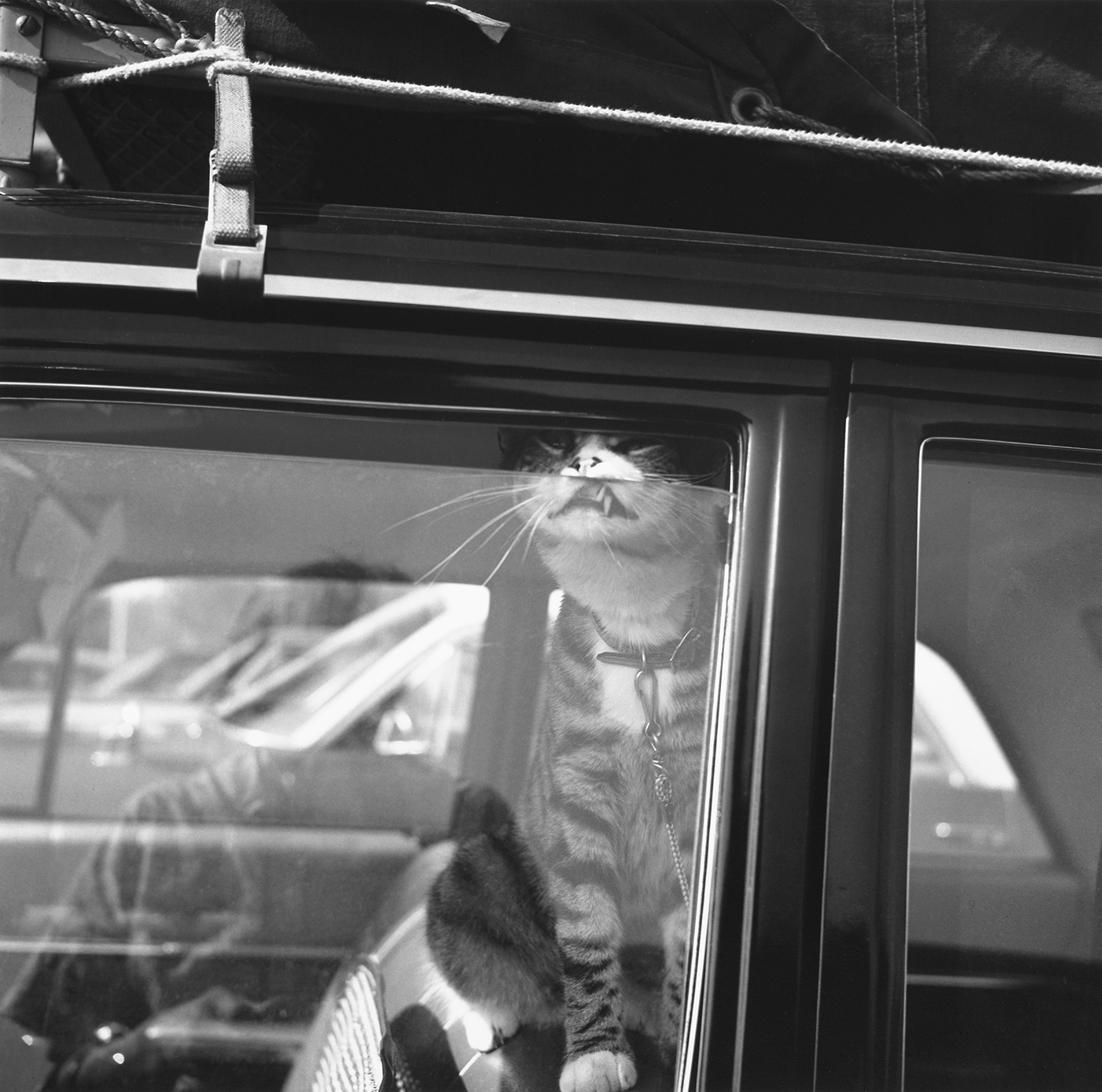 To Deepen the Mystery: The Self-Portaits of Vivian Maier
