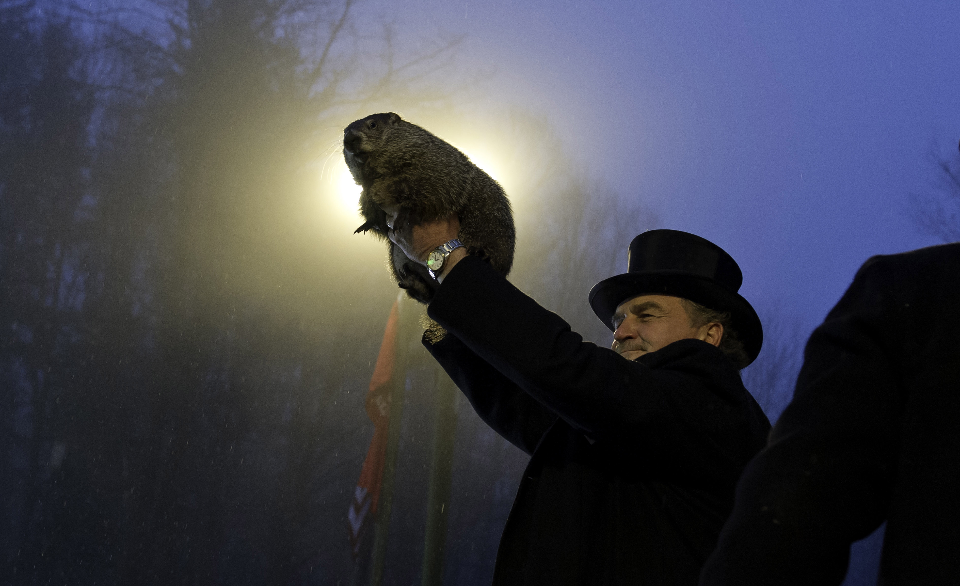 Punxsutawney Phil Makes Annual Forecast On Groundhog Day