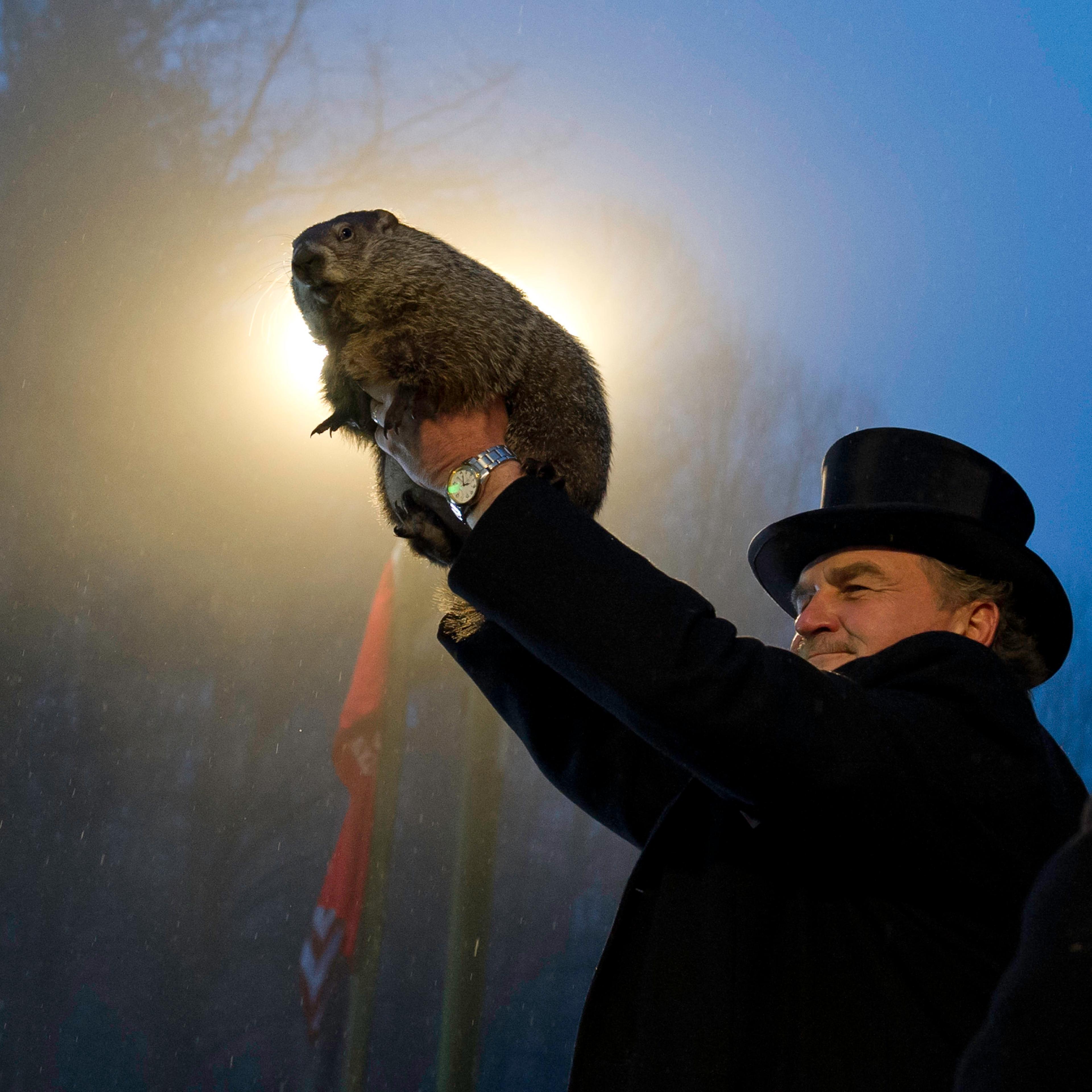 Punxsutawney Phil Makes Annual Forecast On Groundhog Day