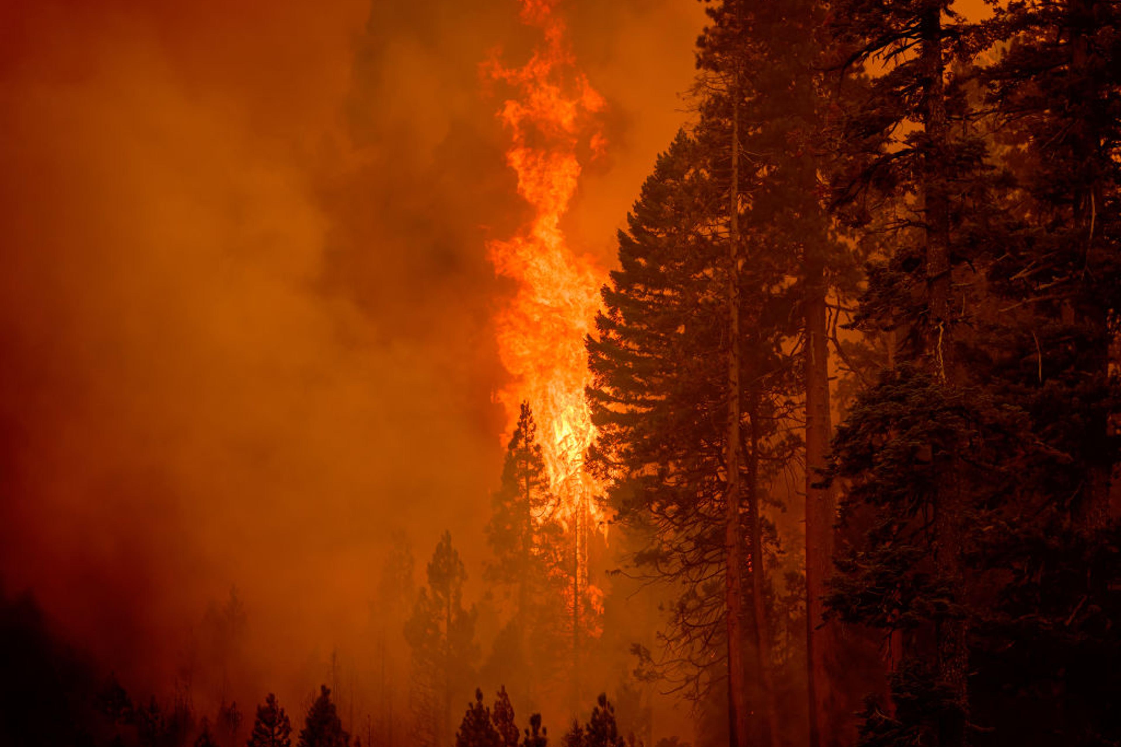 Flames stretched hundreds of feet into the air as the Park fire approached in Tehama County's Mill Creek area of California Aug. 7, 2024.