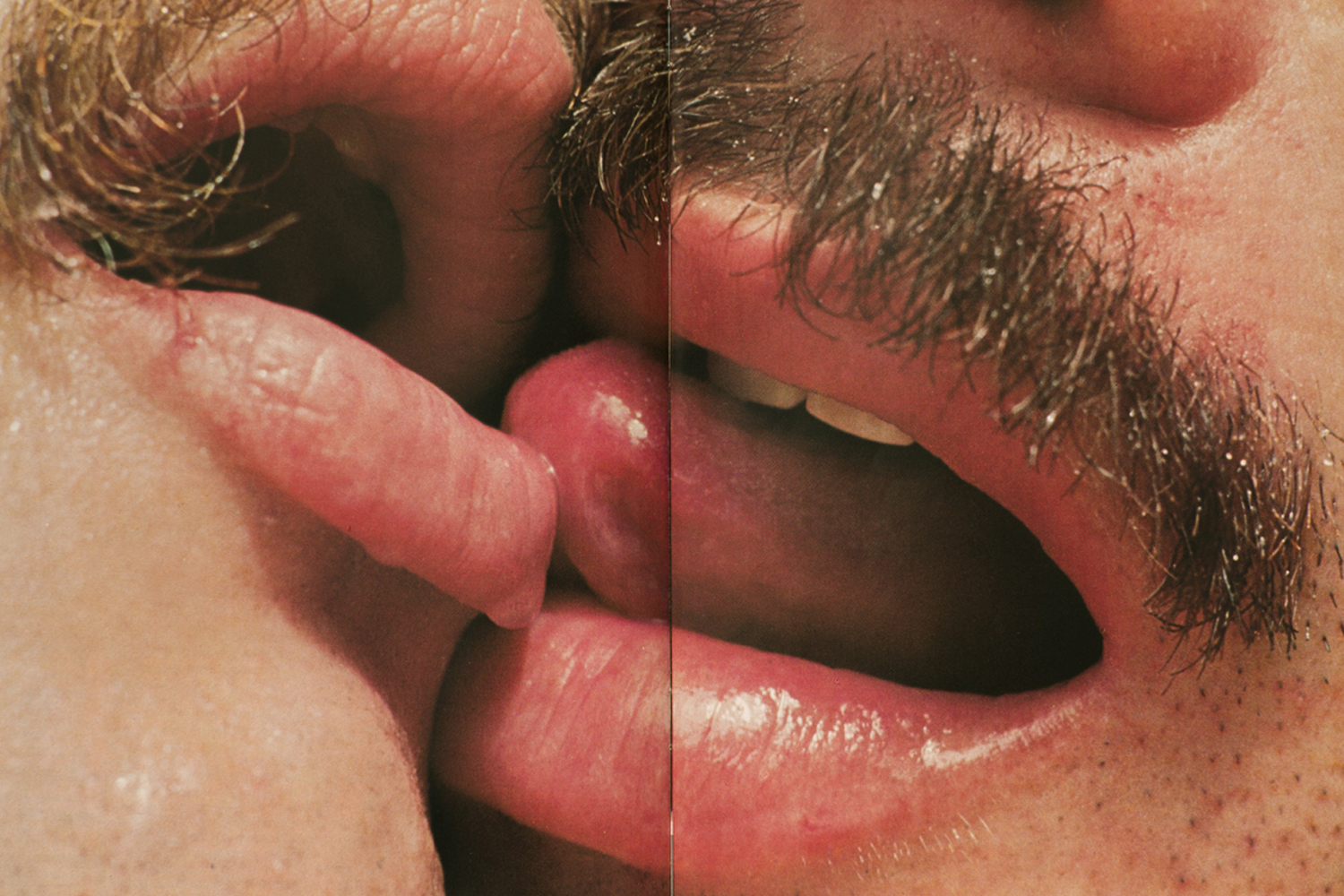 The Kiss, 2013