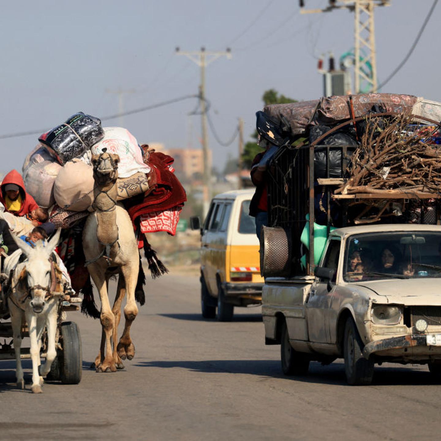 Gaza refugees donkeys