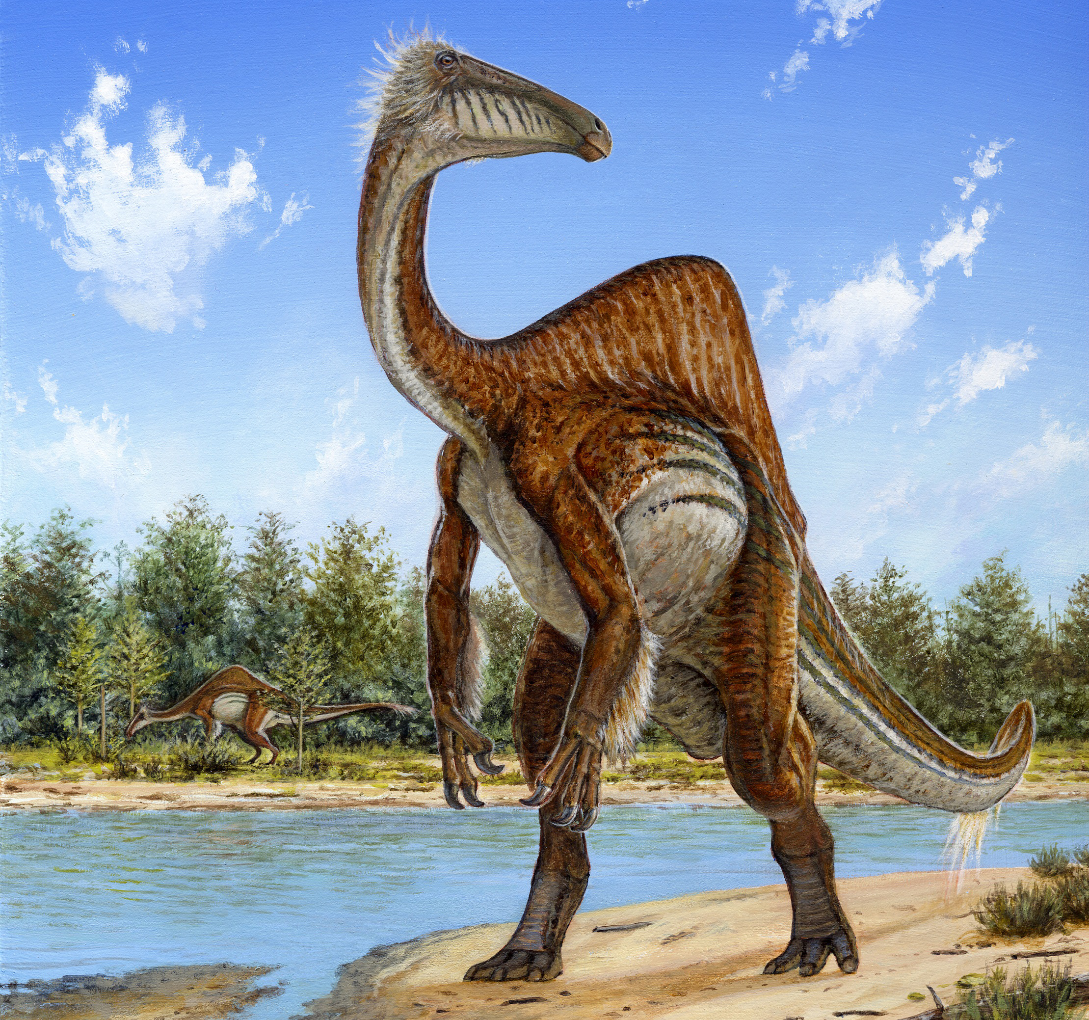 Odd Dinosaur