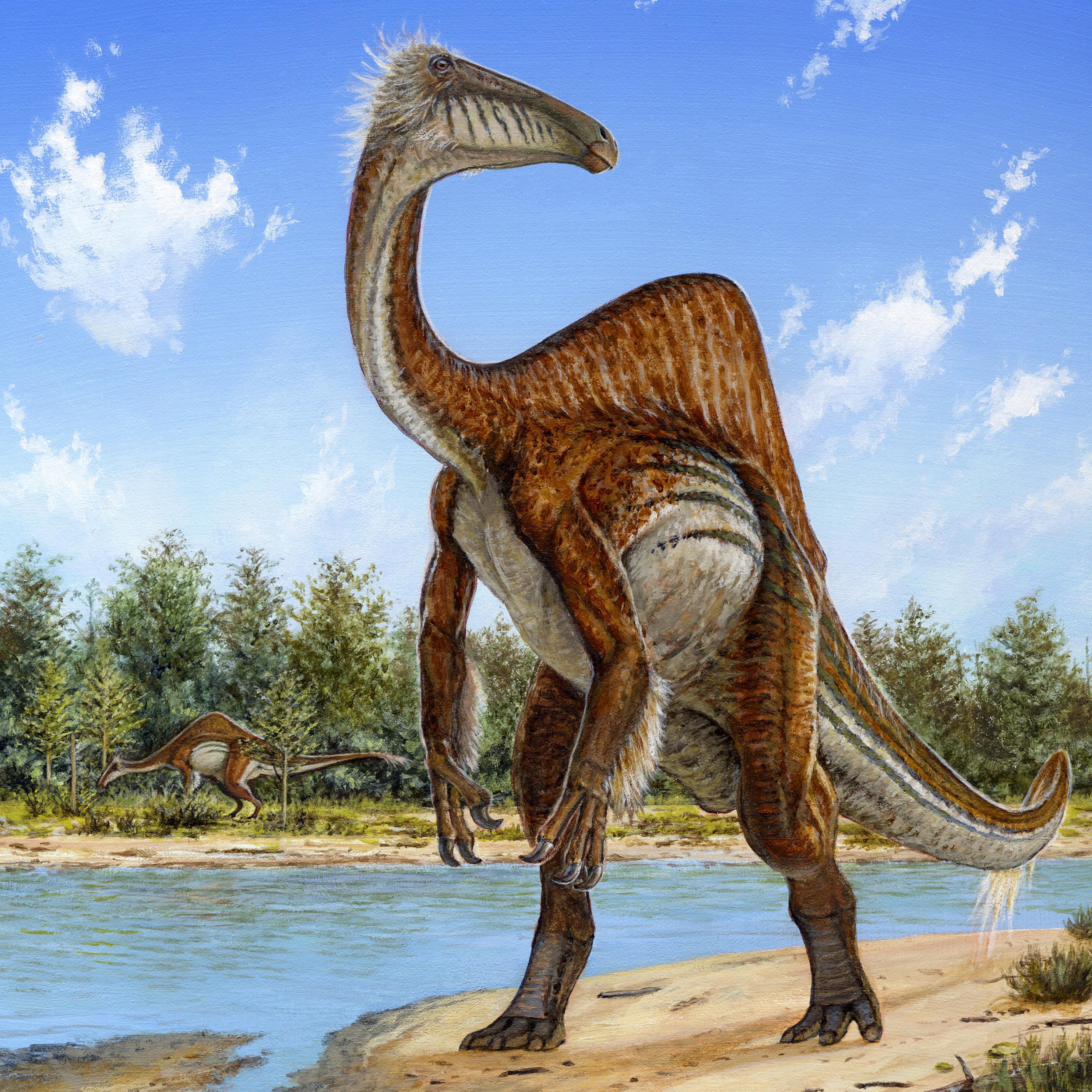 Odd Dinosaur