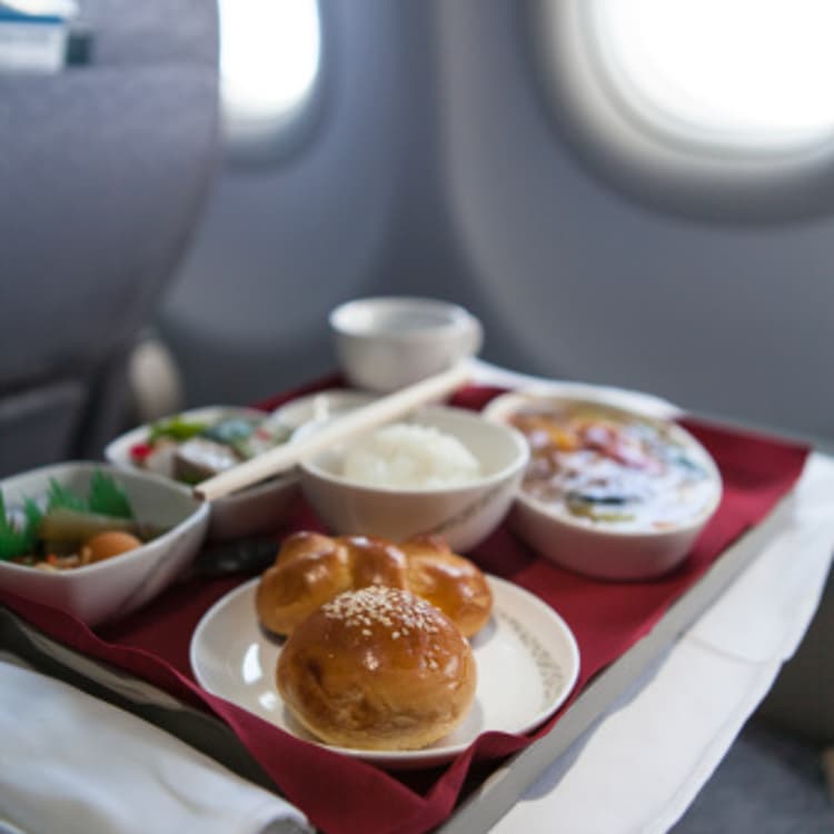 airline-meal
