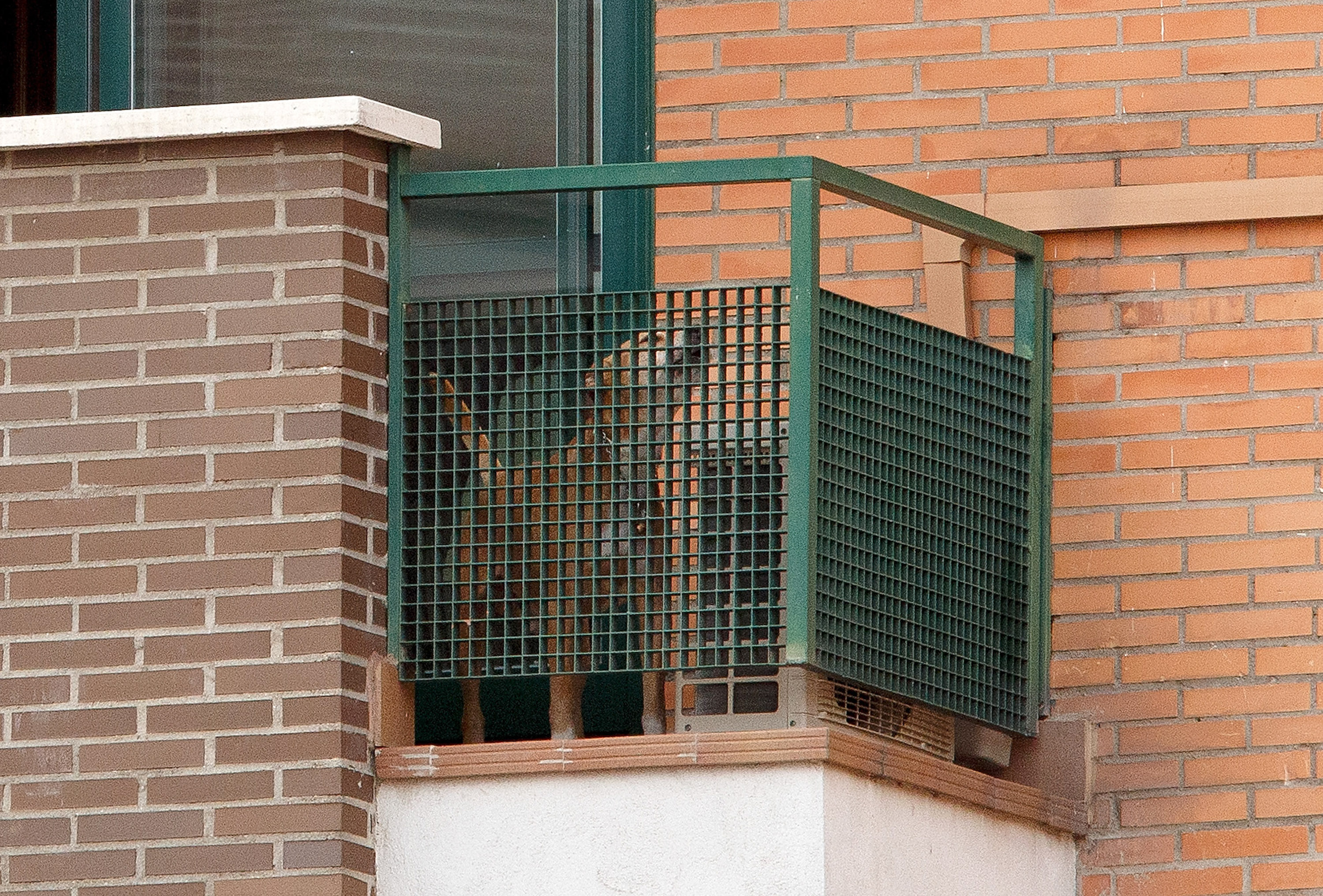 Spanish Nurse Tests Positive For Ebola