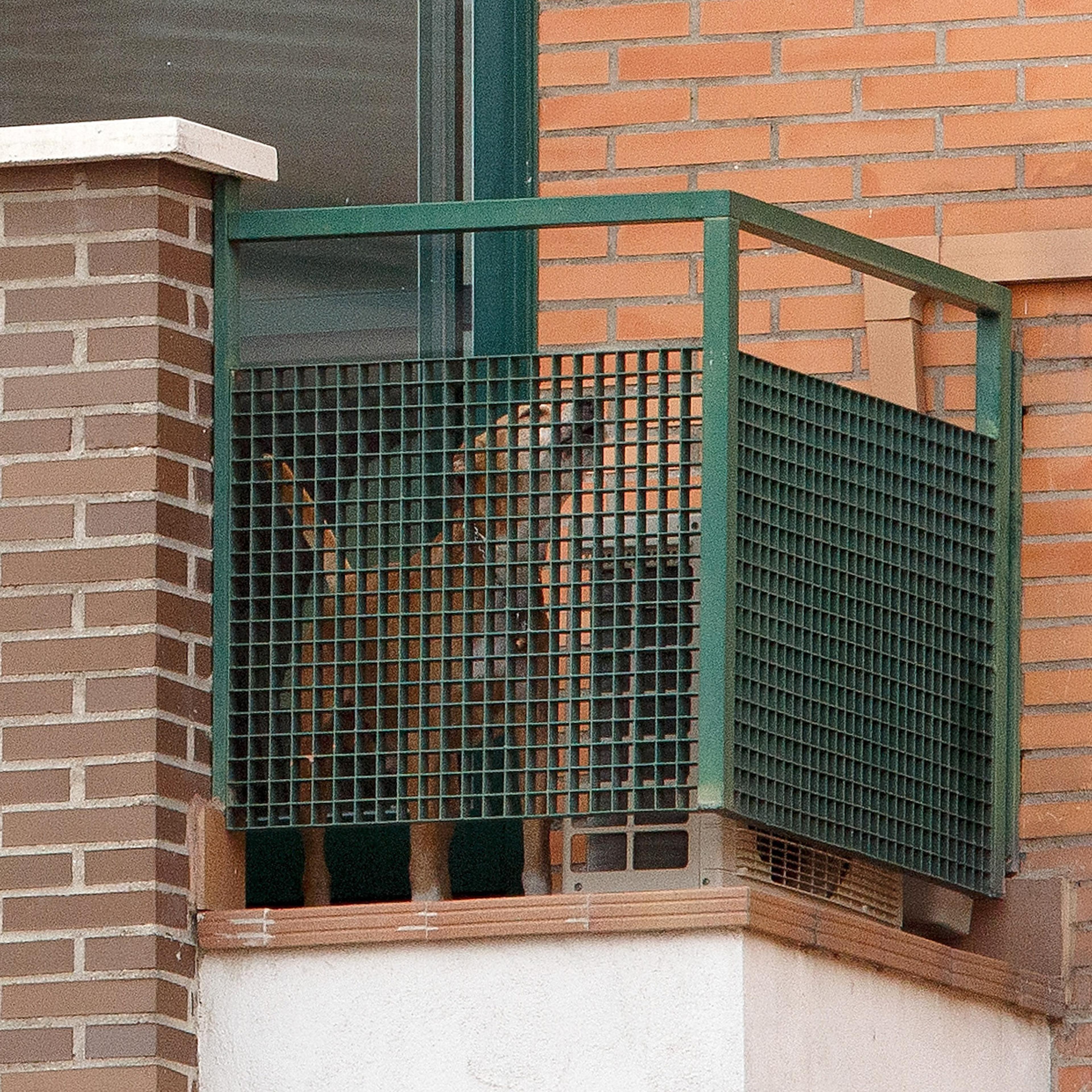 Spanish Nurse Tests Positive For Ebola