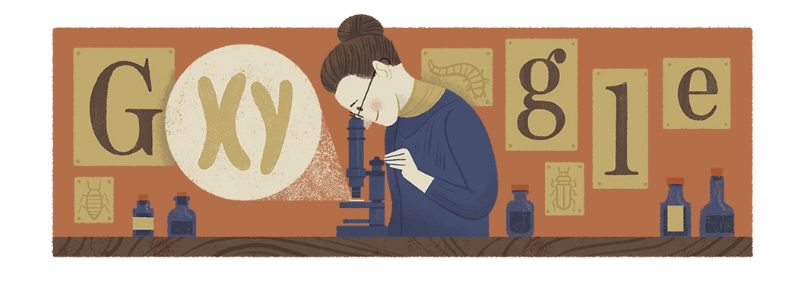 Nettie Stevens Google Doodle