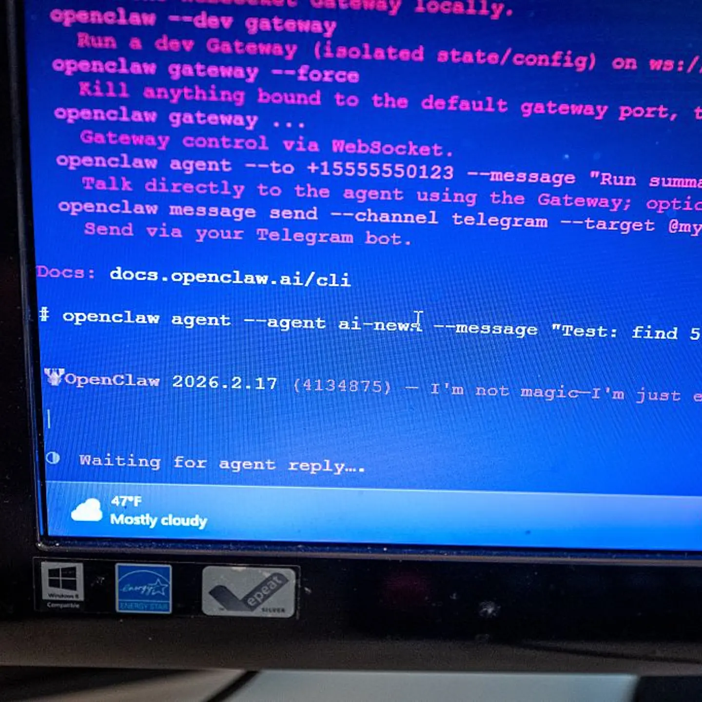 Openclaw