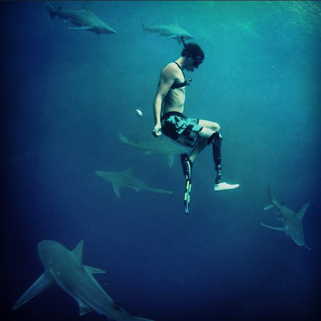 An image of Mike Coots taken by his friend Juan Oliphant as they are swimming surrounded by sharks.