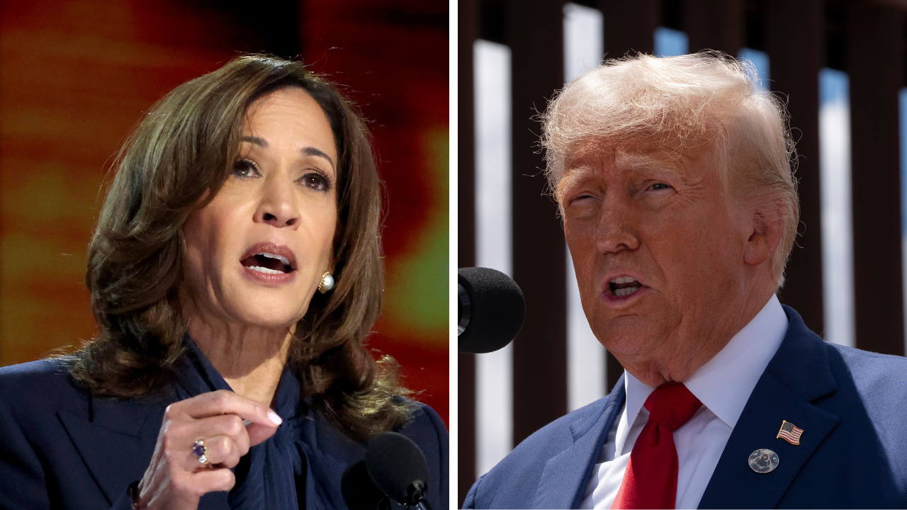 Democratic nominee Vice President Kamala Harris, and Republican nominee former President Donald Trump