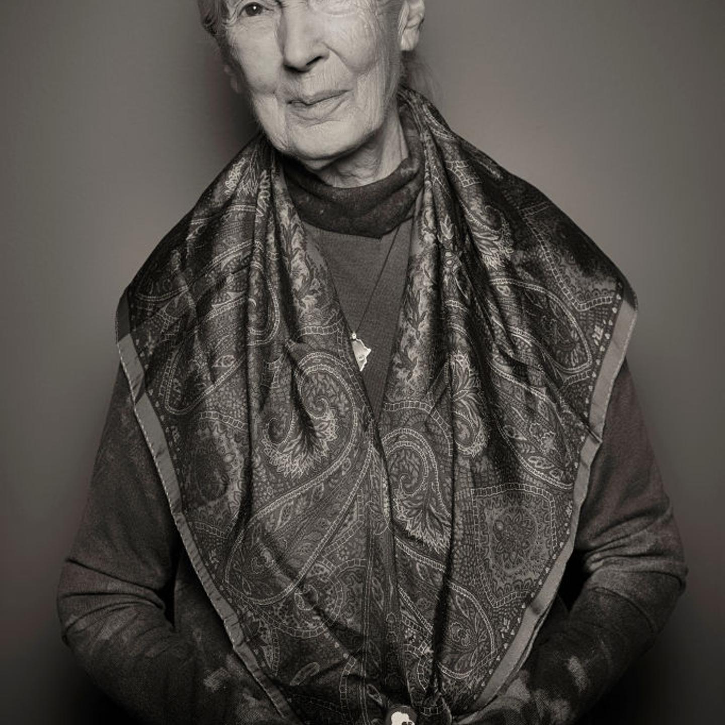 Jane Goodall appears as a guest on Jimmy Kimmel Live! in April 2023.