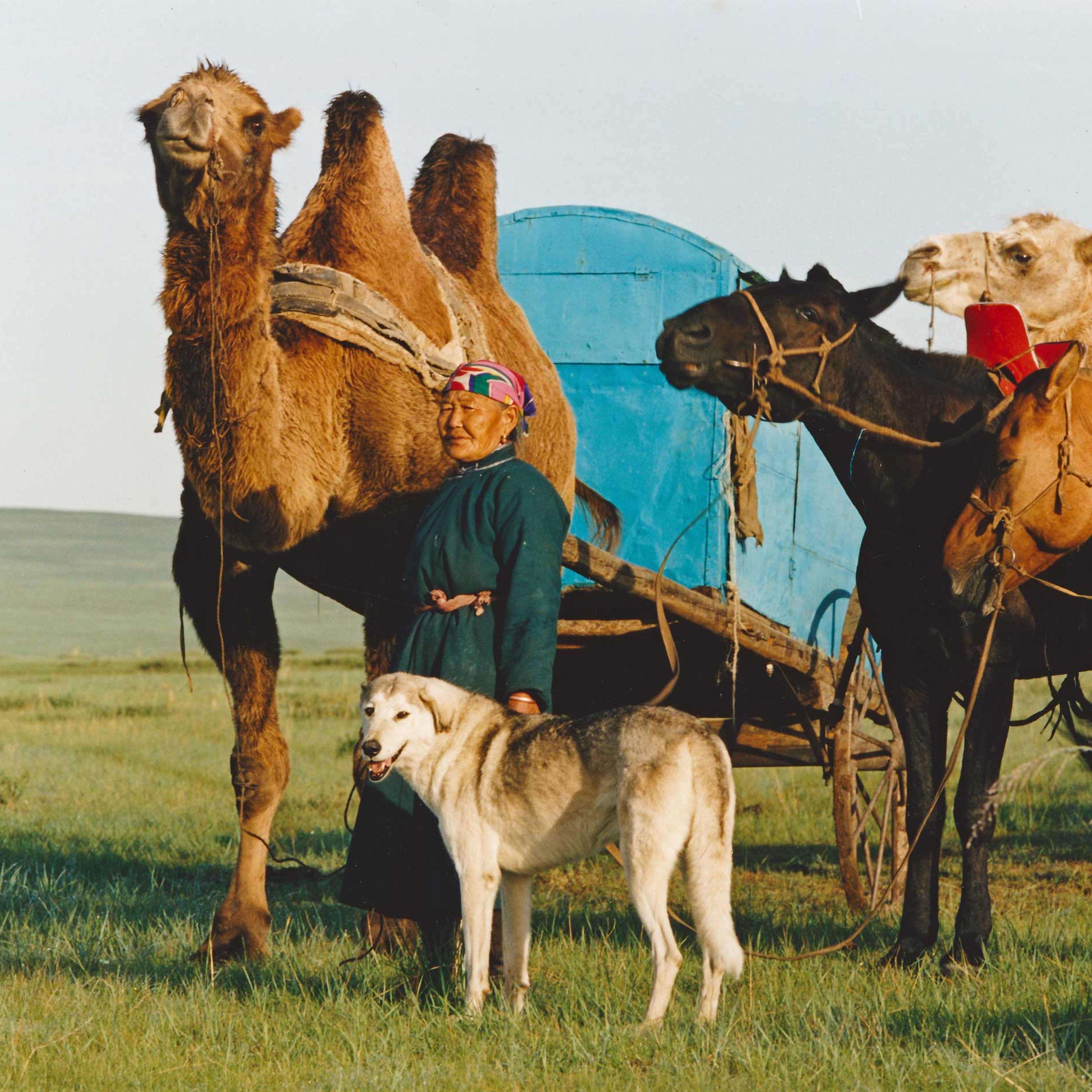 Mongolian Nomad Travelling