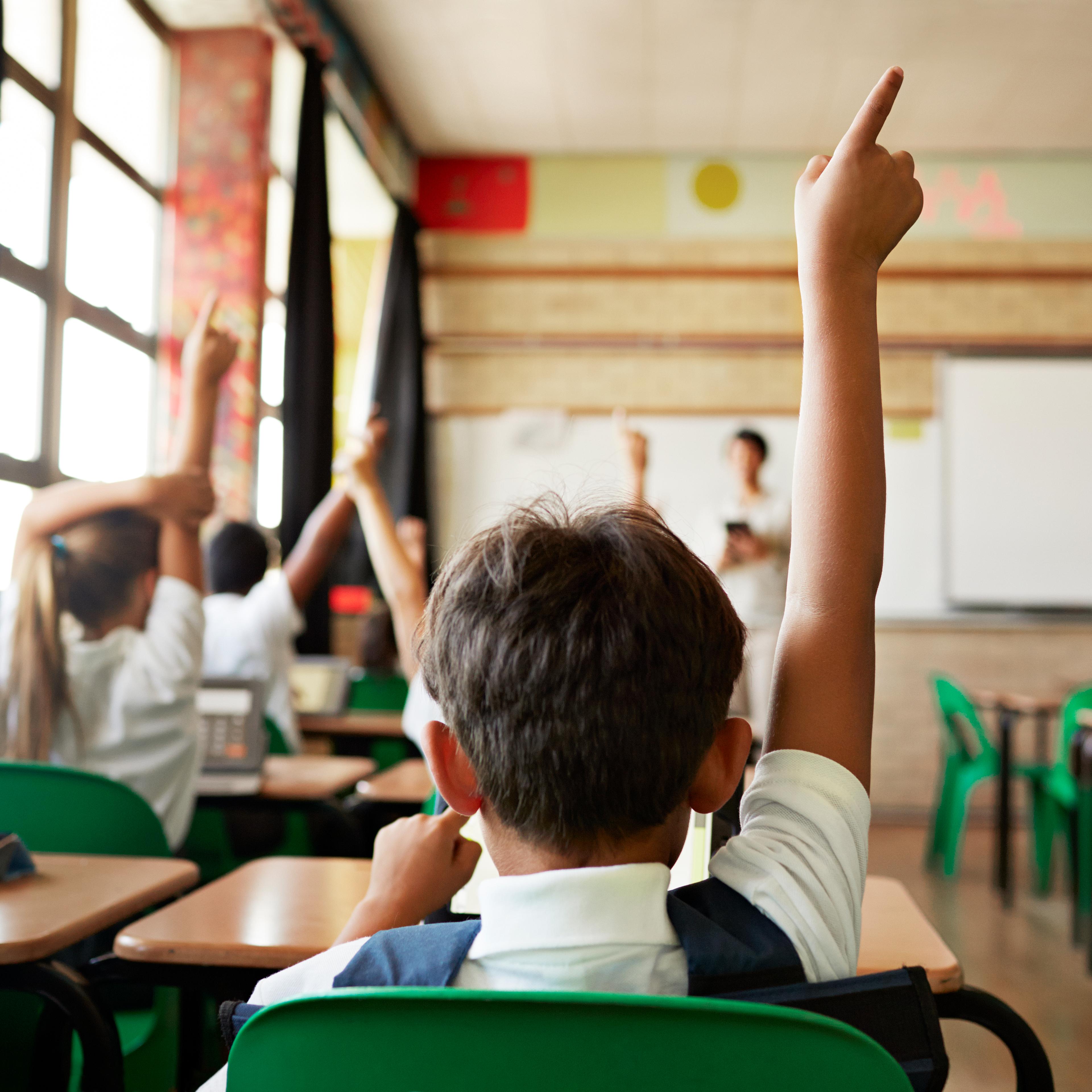 Rear view of boy with raised hand in class