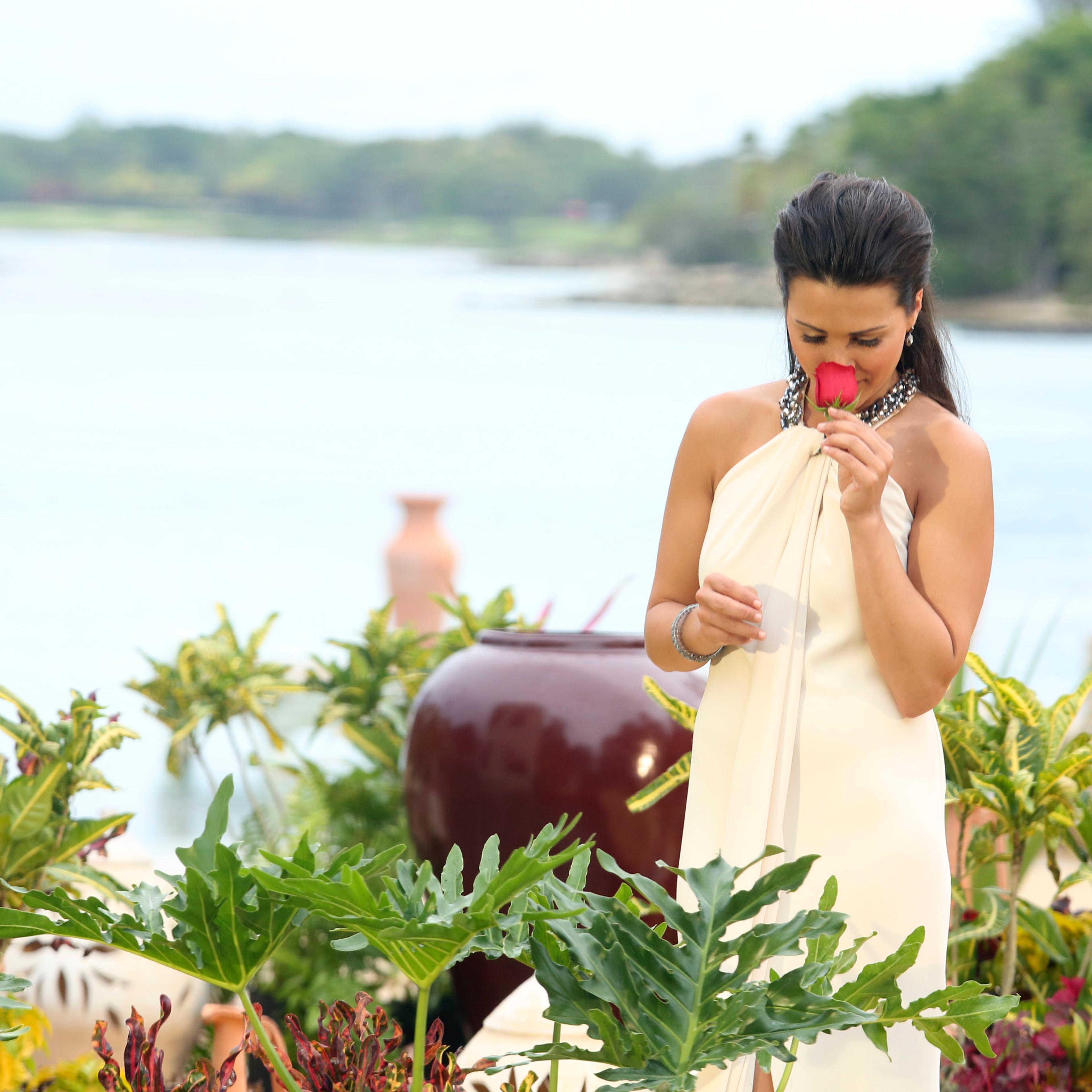 ANDI DORFMAN