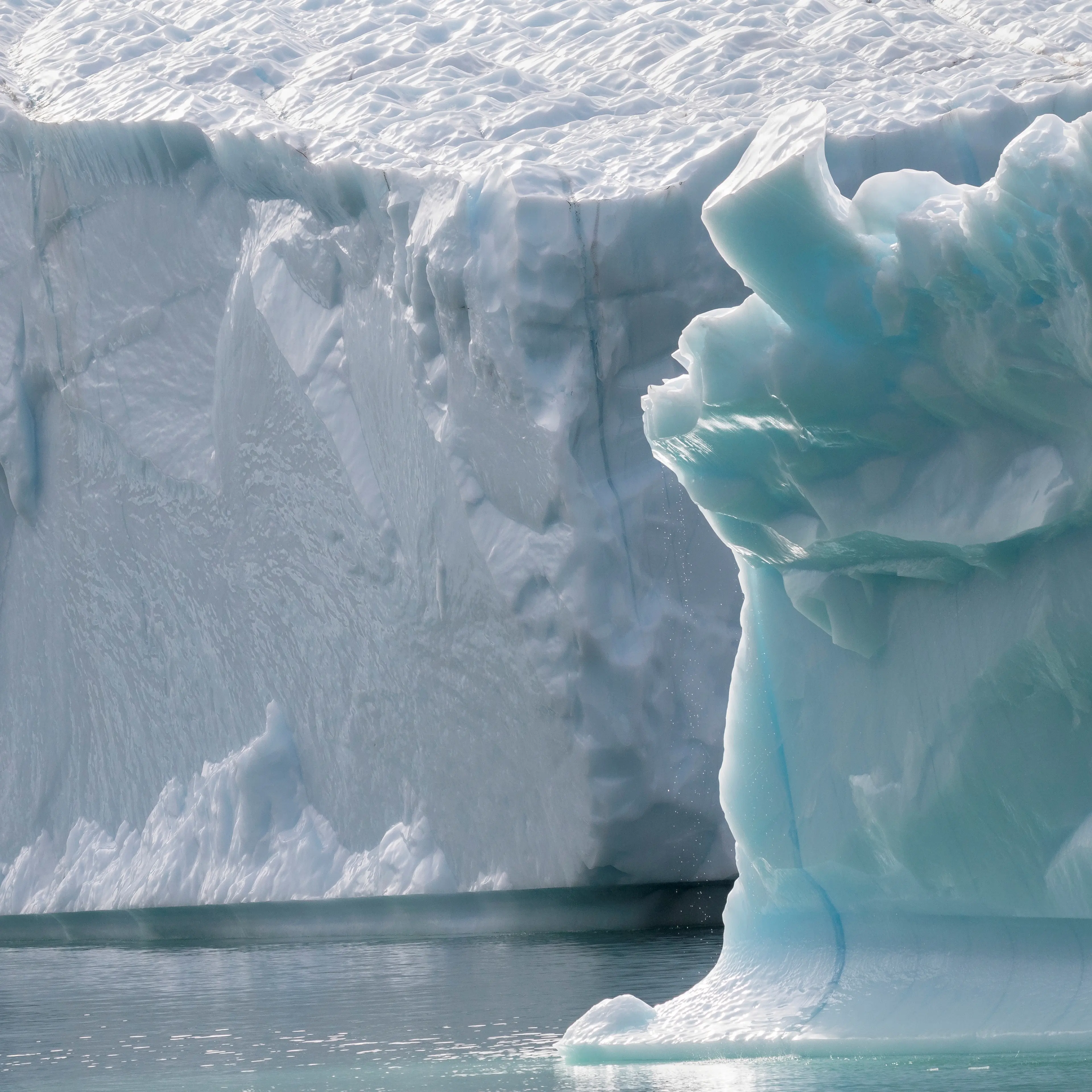 Icebergs drifting in the fjords of southern greenland