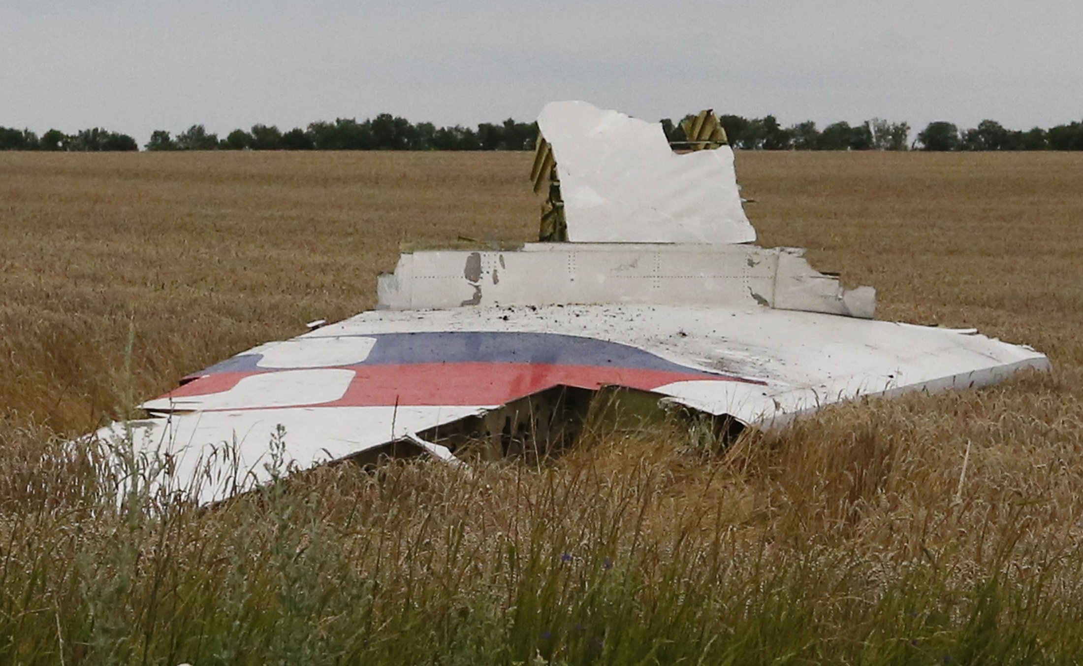 A part of the wreckage of a Malaysia Airlines Boeing 777 plane is seen after it crashed near the settlement of Grabovo in the Donetsk region, July 17, 2014.