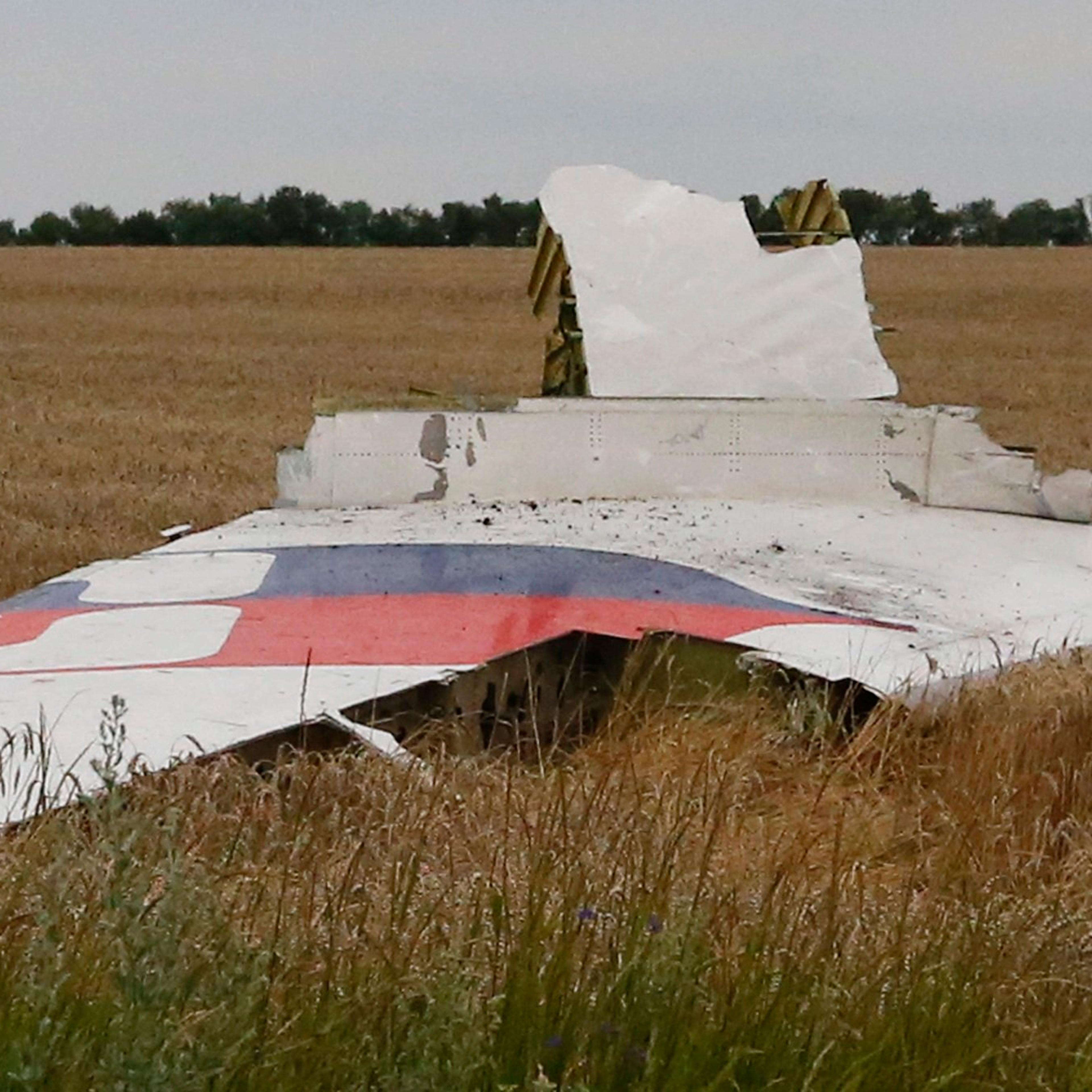A part of the wreckage of a Malaysia Airlines Boeing 777 plane is seen after it crashed near the settlement of Grabovo in the Donetsk region, July 17, 2014.
