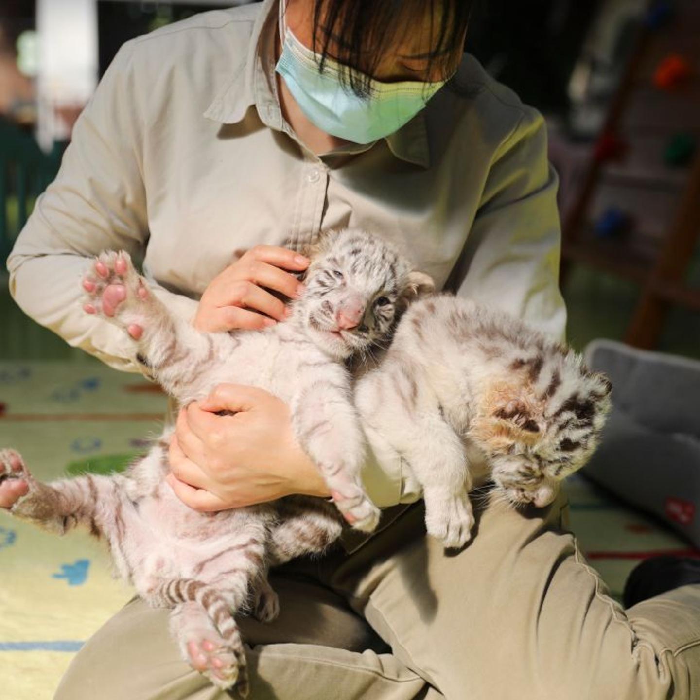 Tourists Visit Beijing Wildlife Park