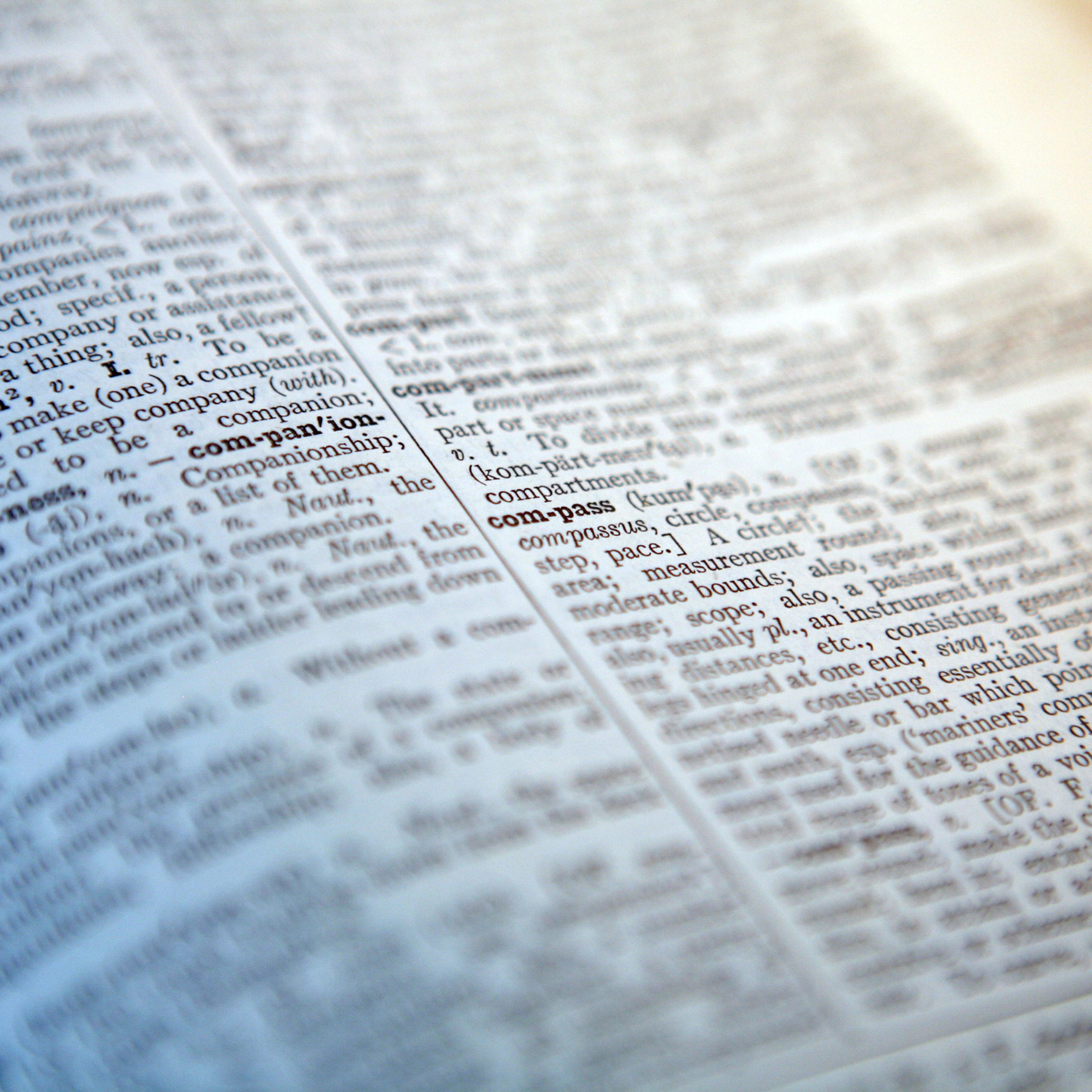 Closeup of Dictionary