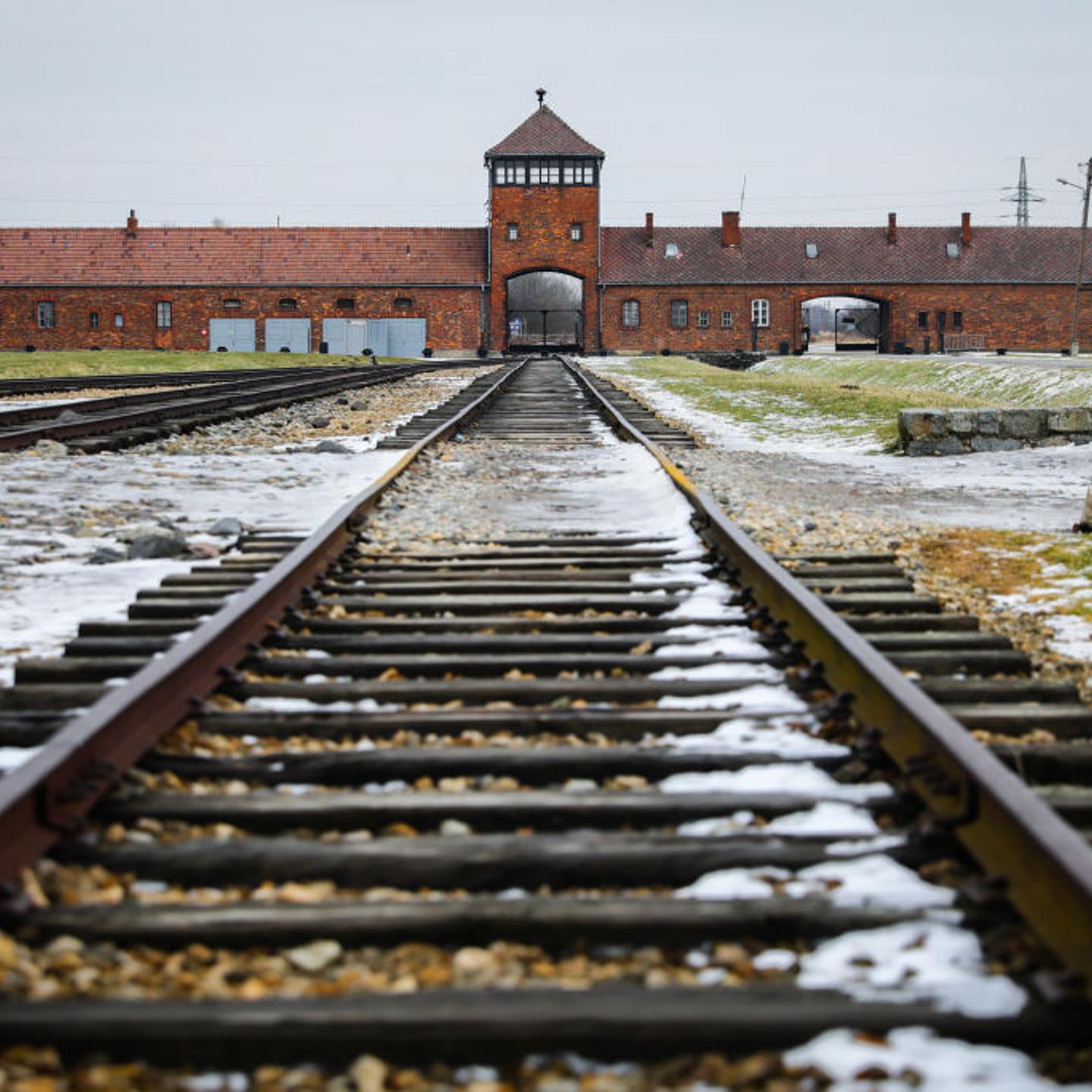 77th Anniversary Of Auschwitz - Birkenau Liberation