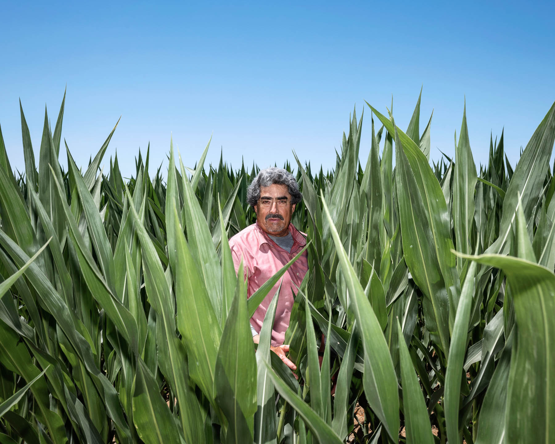 Image from article: Extreme Heat in American West Shows Climate Change Is Here