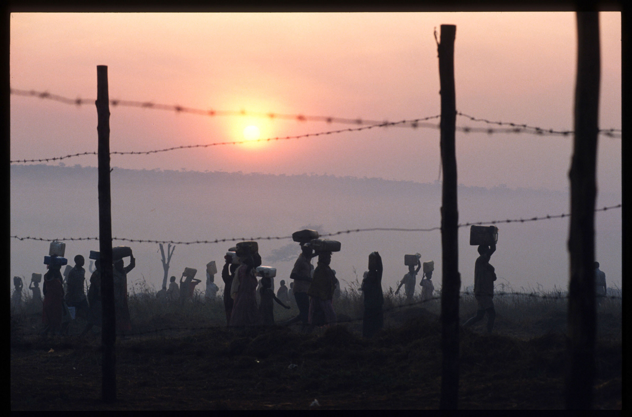 forever refugees