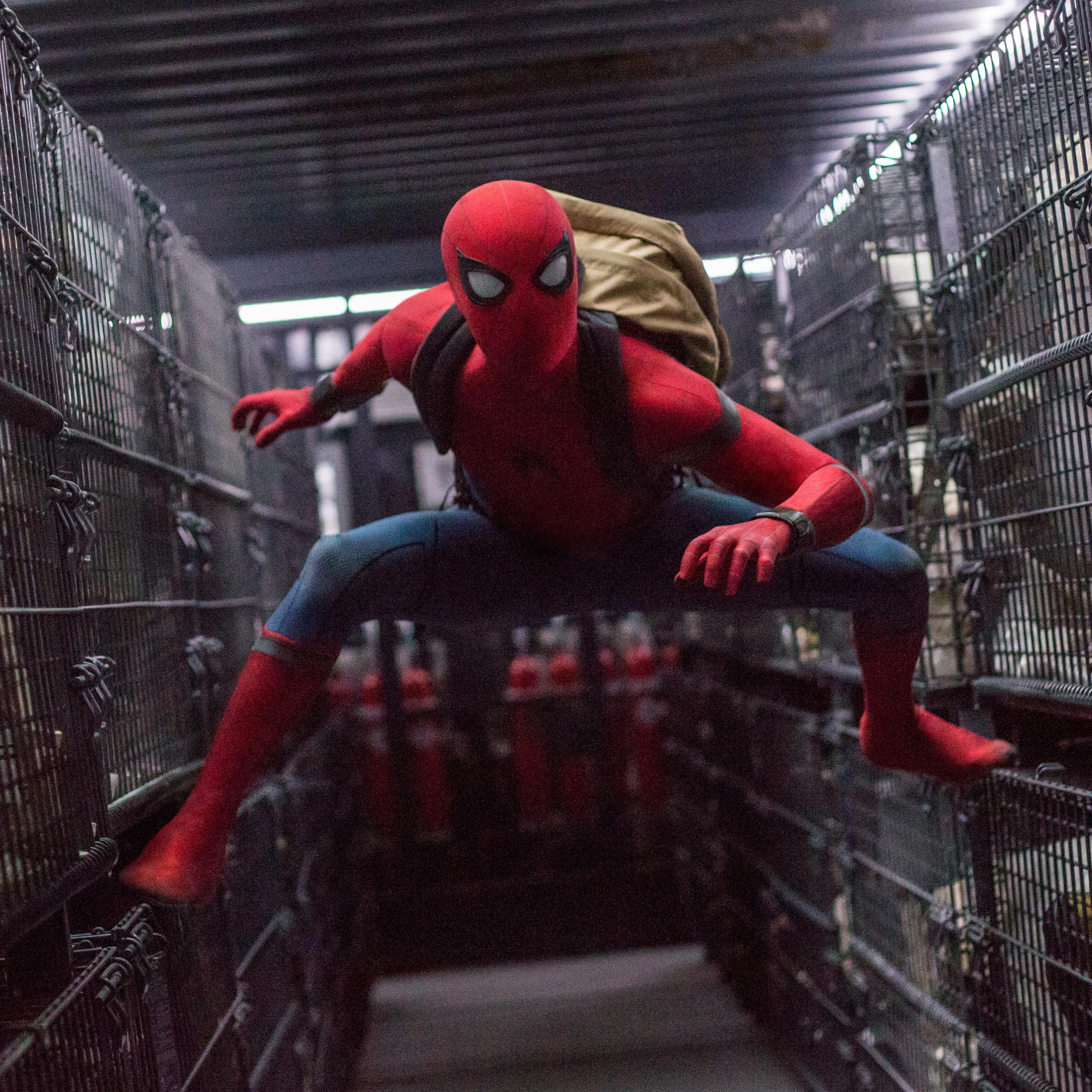 Tom Holland