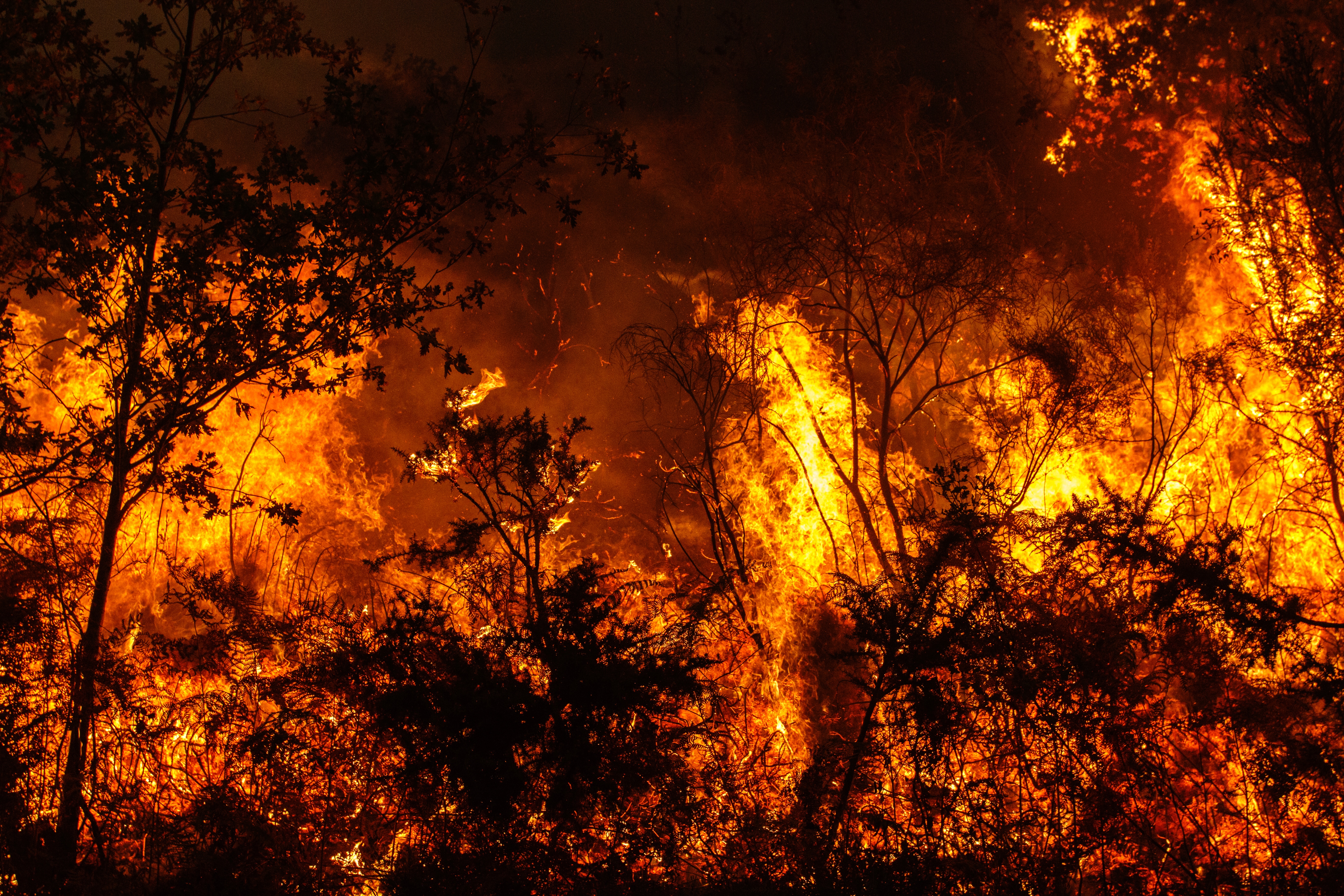 fire