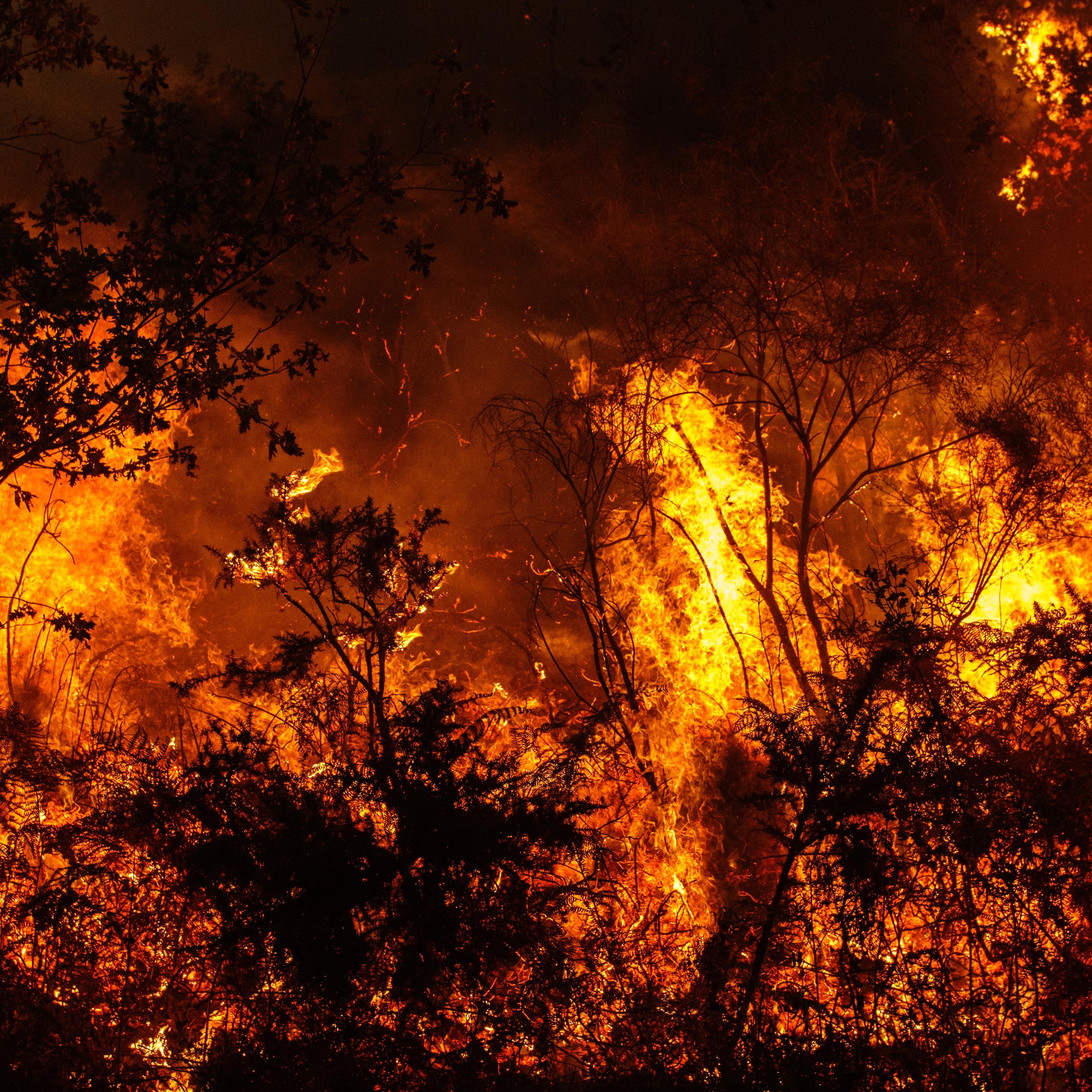 fire