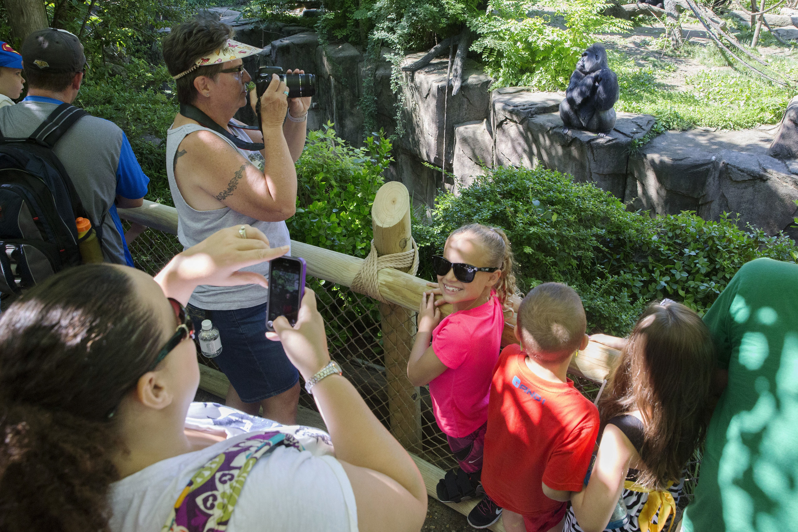 Madison Zortman, center, has her picture taken by her mother Rebekah Ridgeway, bottom left, at the Gorilla World exhibit at the Cincinnati Zoo—Botanical Garden, June 7, 2016.