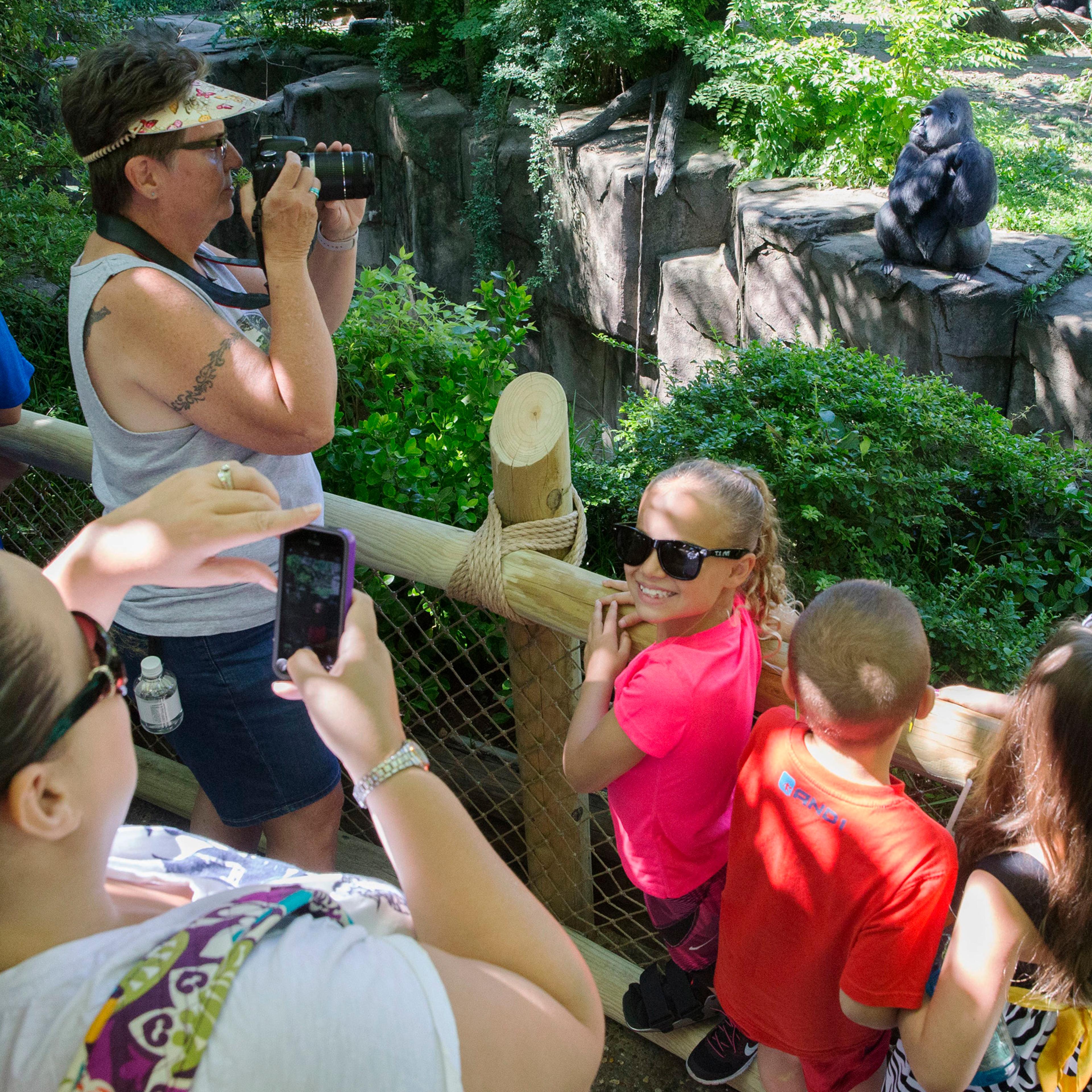 Madison Zortman, center, has her picture taken by her mother Rebekah Ridgeway, bottom left, at the Gorilla World exhibit at the Cincinnati Zoo—Botanical Garden, June 7, 2016.