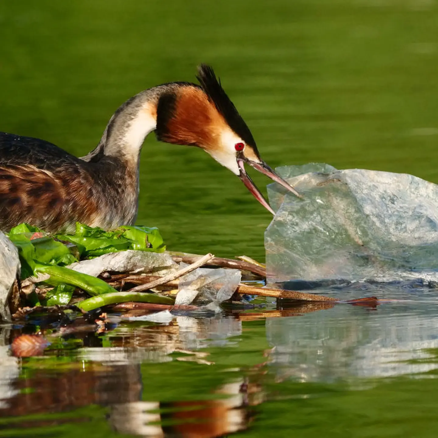 A high ambition treaty for plastic pollution could make scenes like this a thing of the past