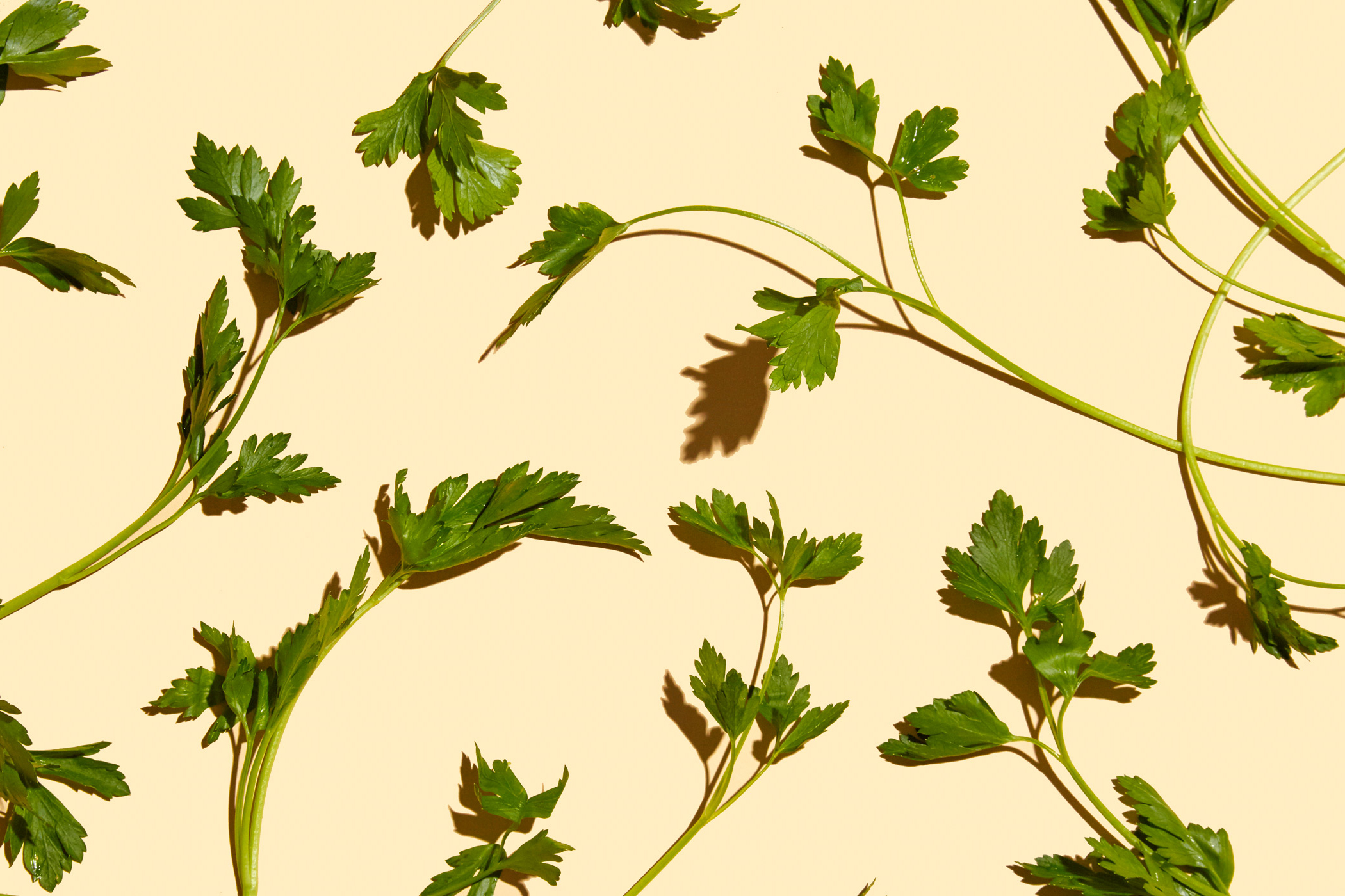 healthiest foods, health food, diet, nutrition, time.com stock, parsley, herbs