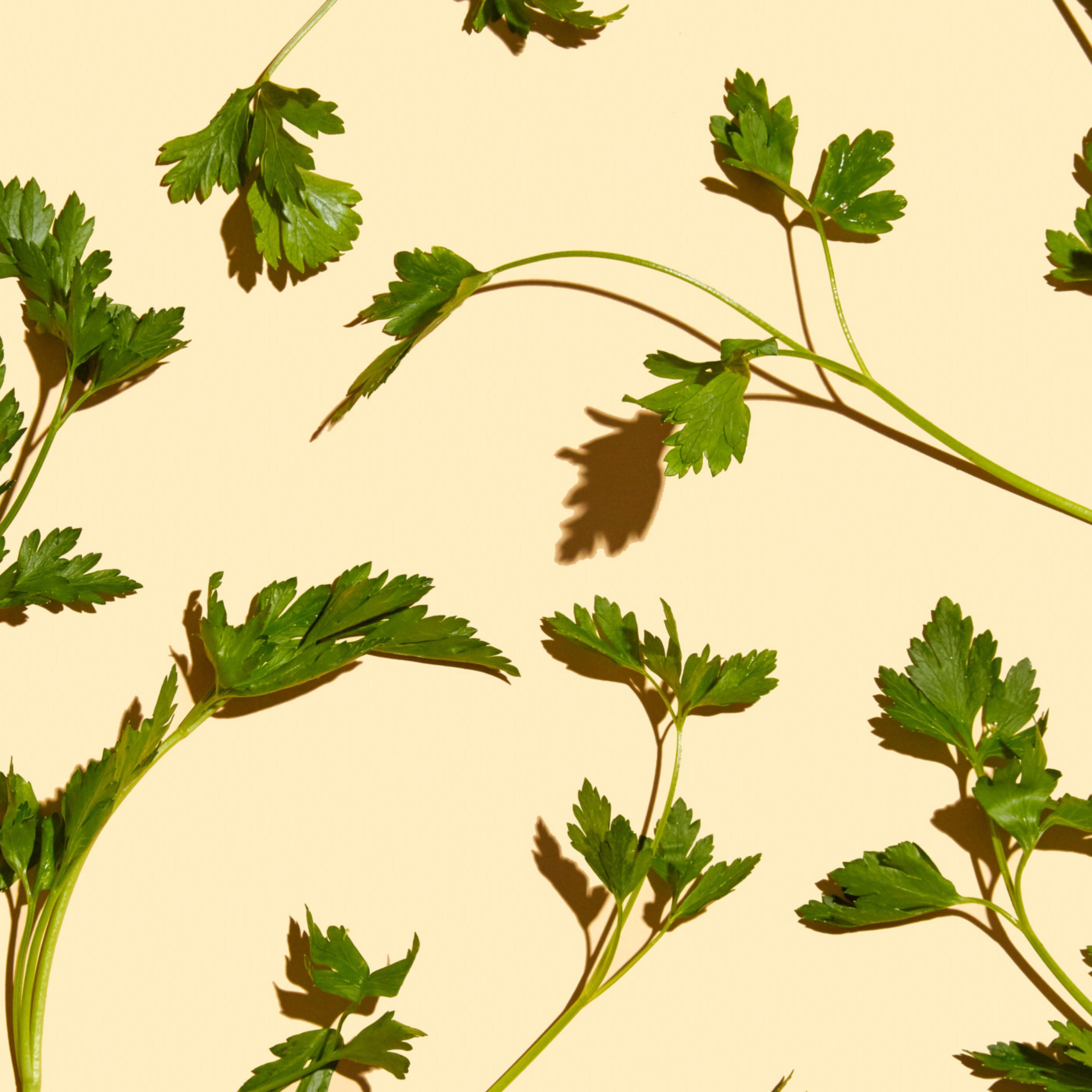 healthiest foods, health food, diet, nutrition, time.com stock, parsley, herbs