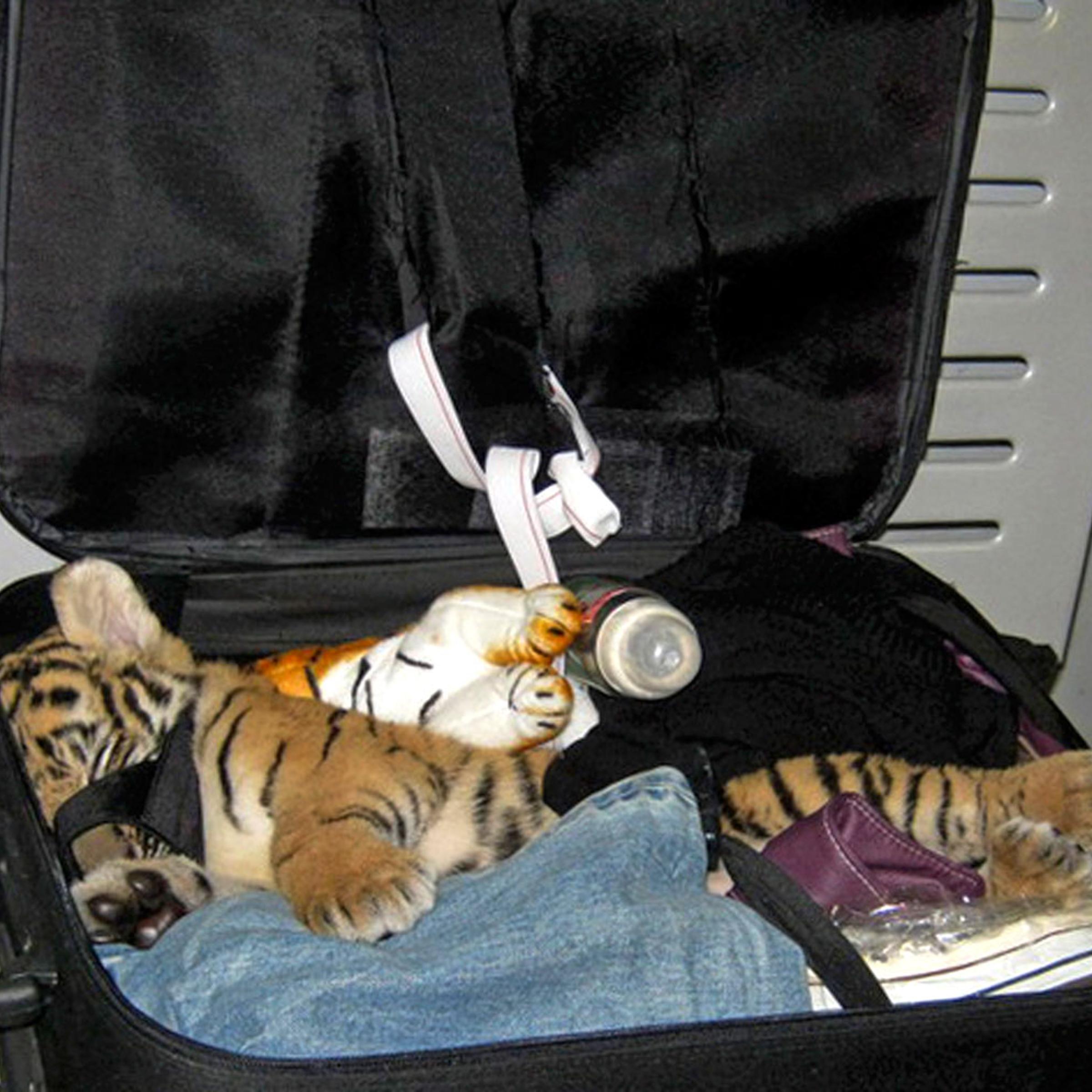 Thailand Tiger Luggage