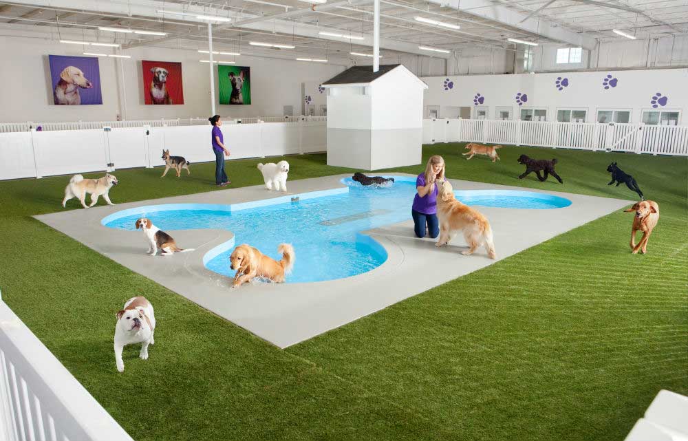 petport