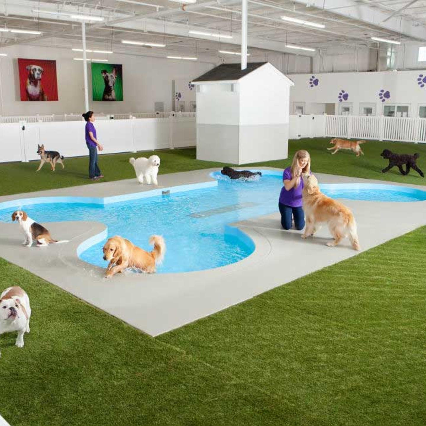 petport