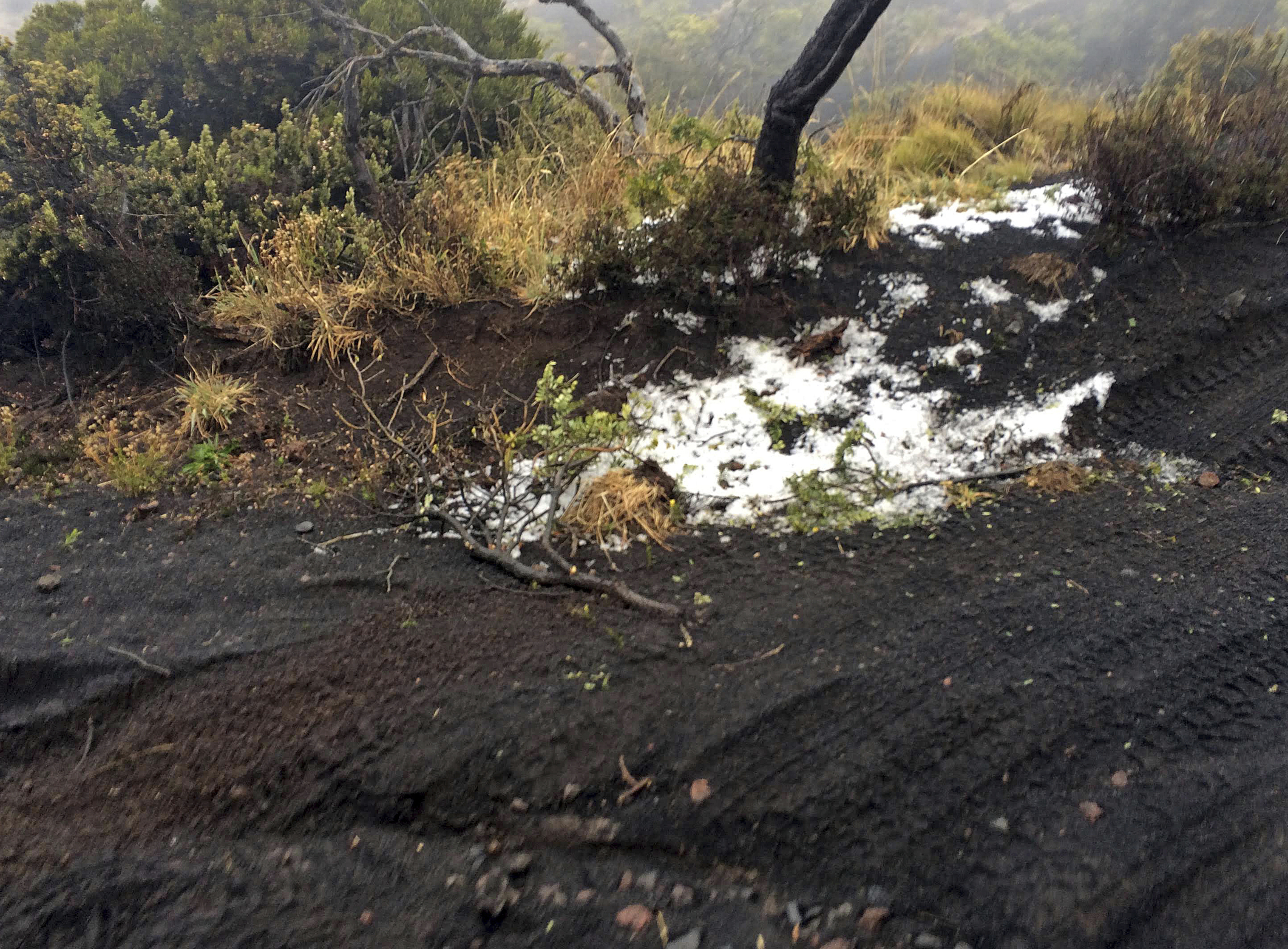 Black volcanic cinders are covered with a dusting of snow at the Polipoli State Recreation area on the slopes of Haleakala