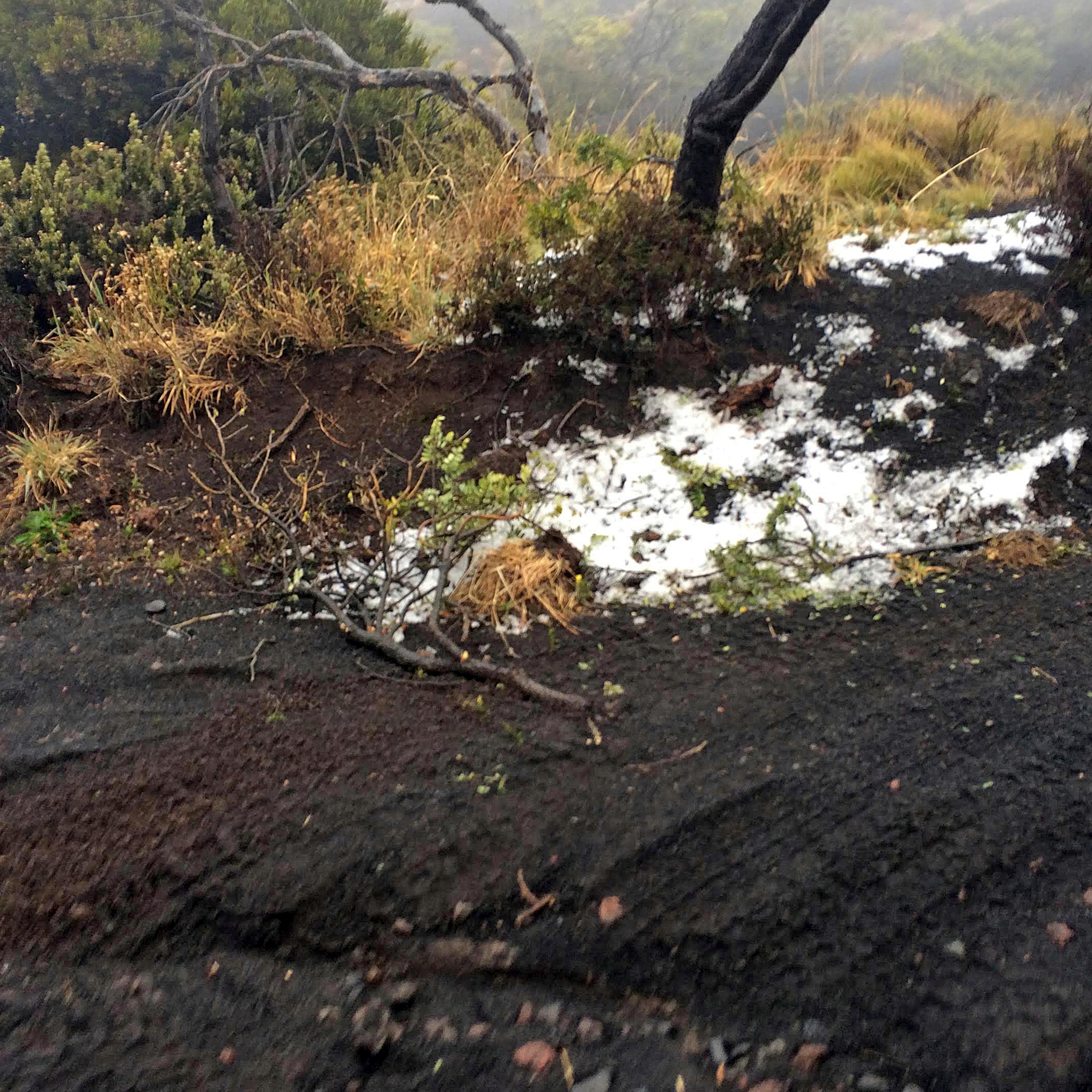 Black volcanic cinders are covered with a dusting of snow at the Polipoli State Recreation area on the slopes of Haleakala