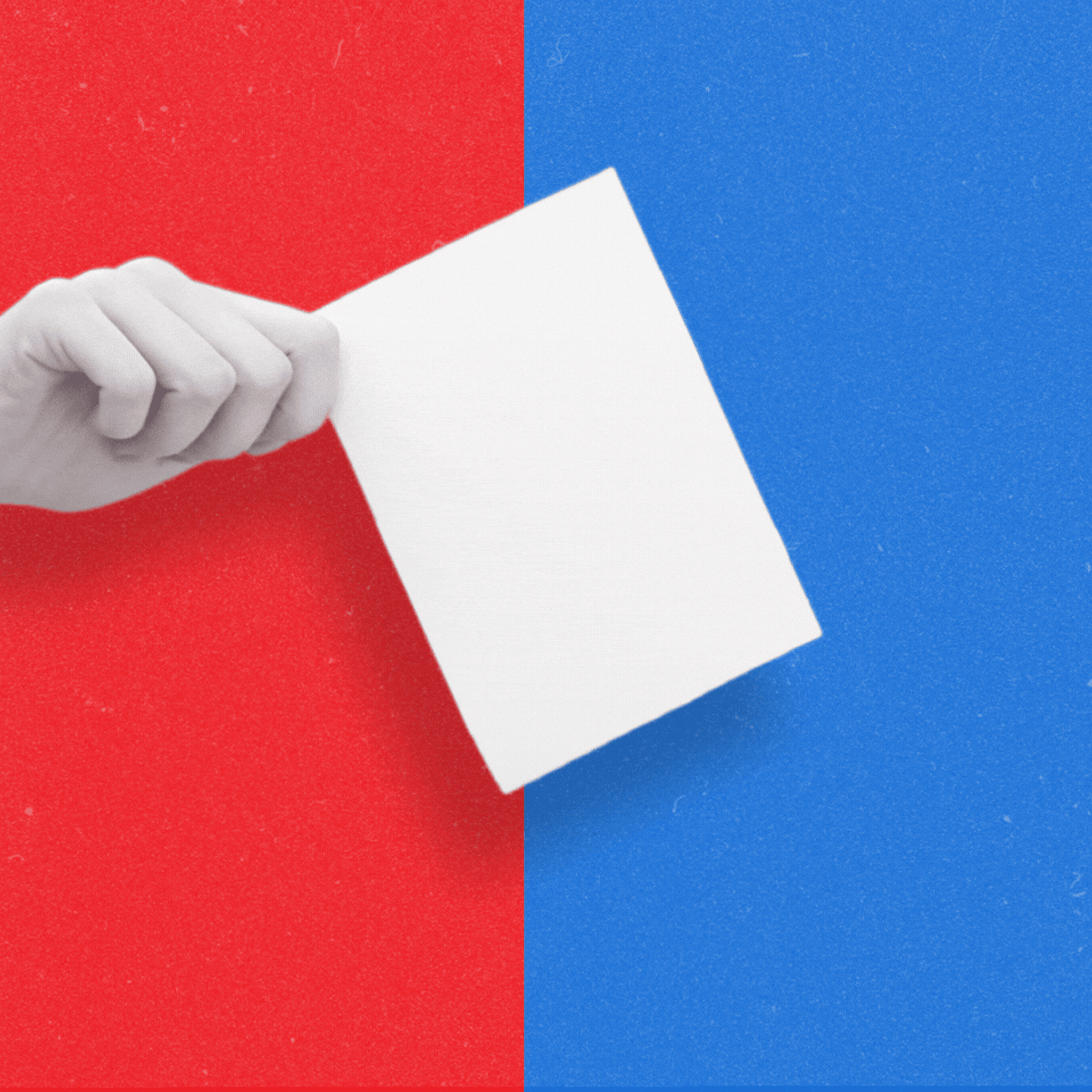 Hand Count Ballots