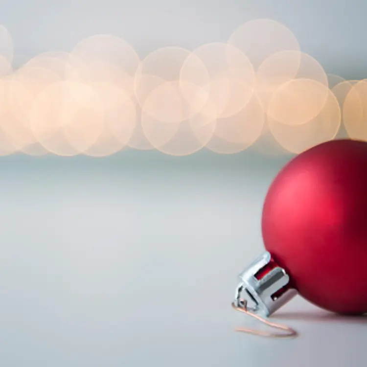 Studio shot of red bauble