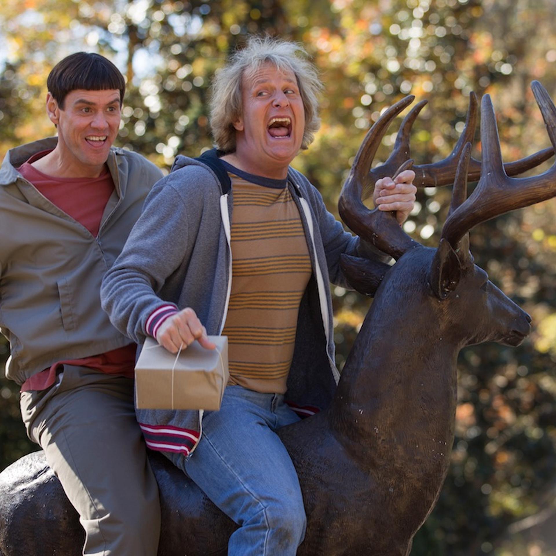 Dumb and Dumber To